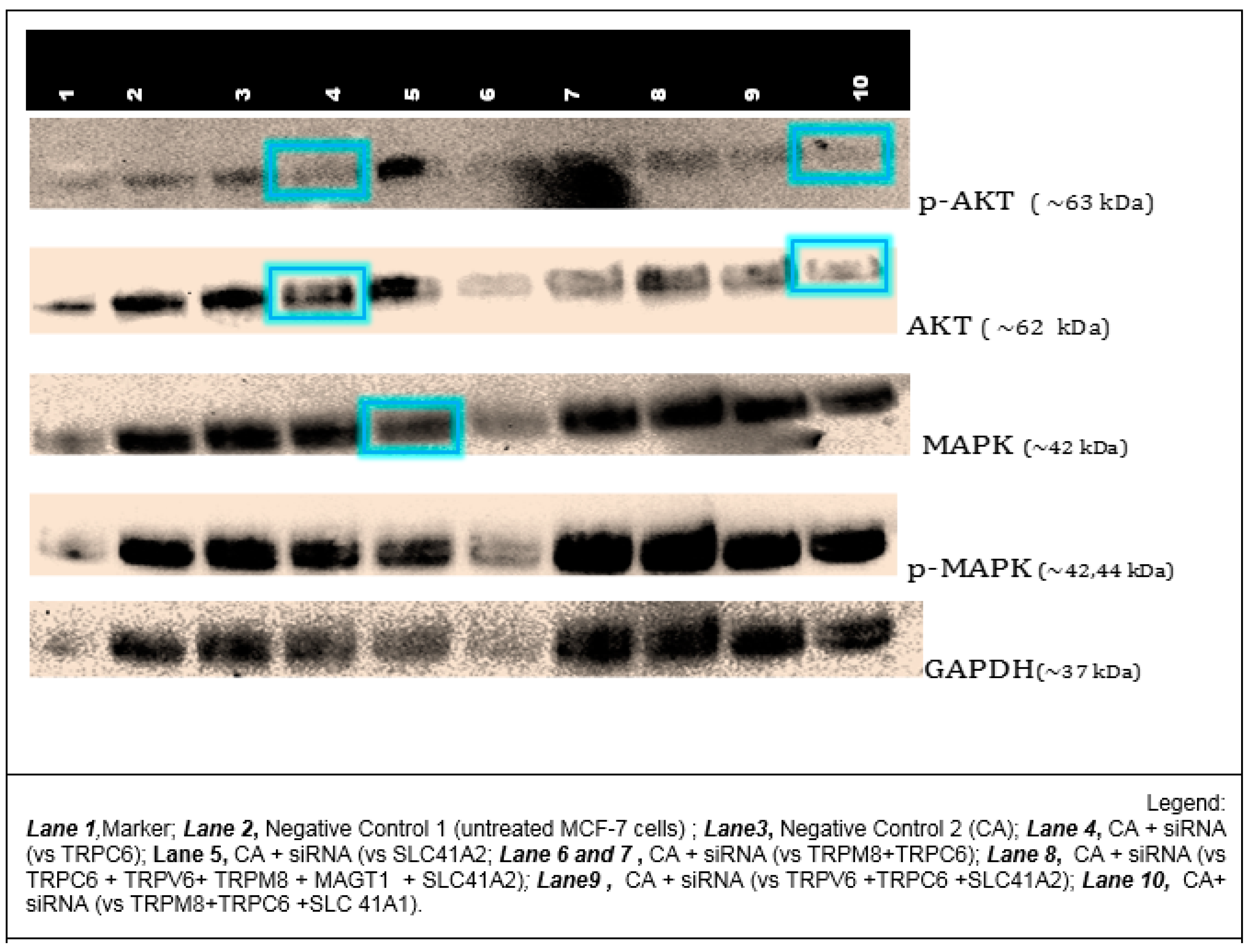 Toxics 06 00034 g010