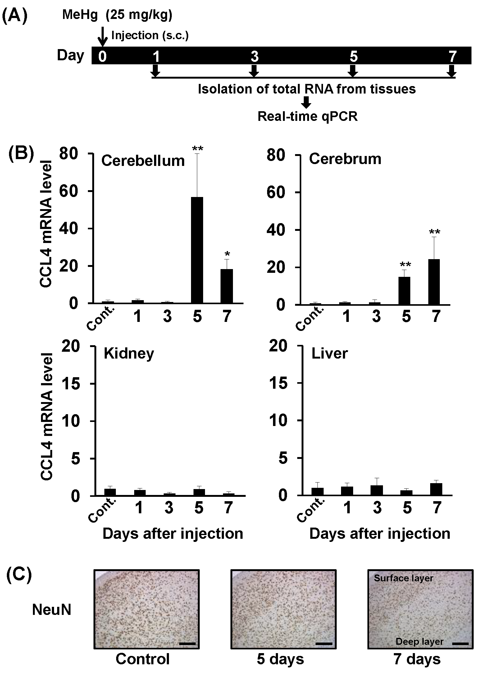 Toxics 06 00036 g001 Toxics 06 00036 g001