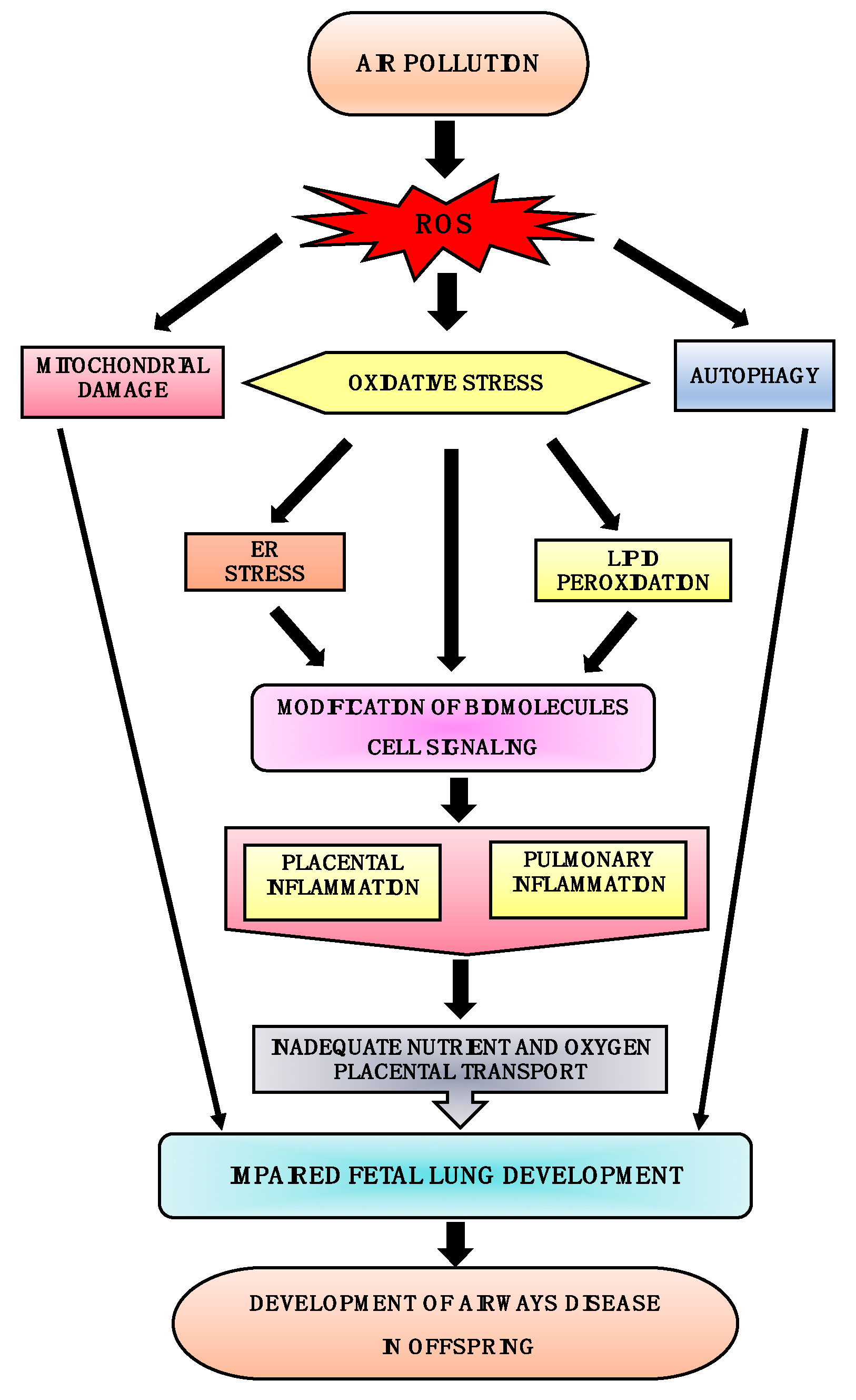 Toxics 06 00068 g001