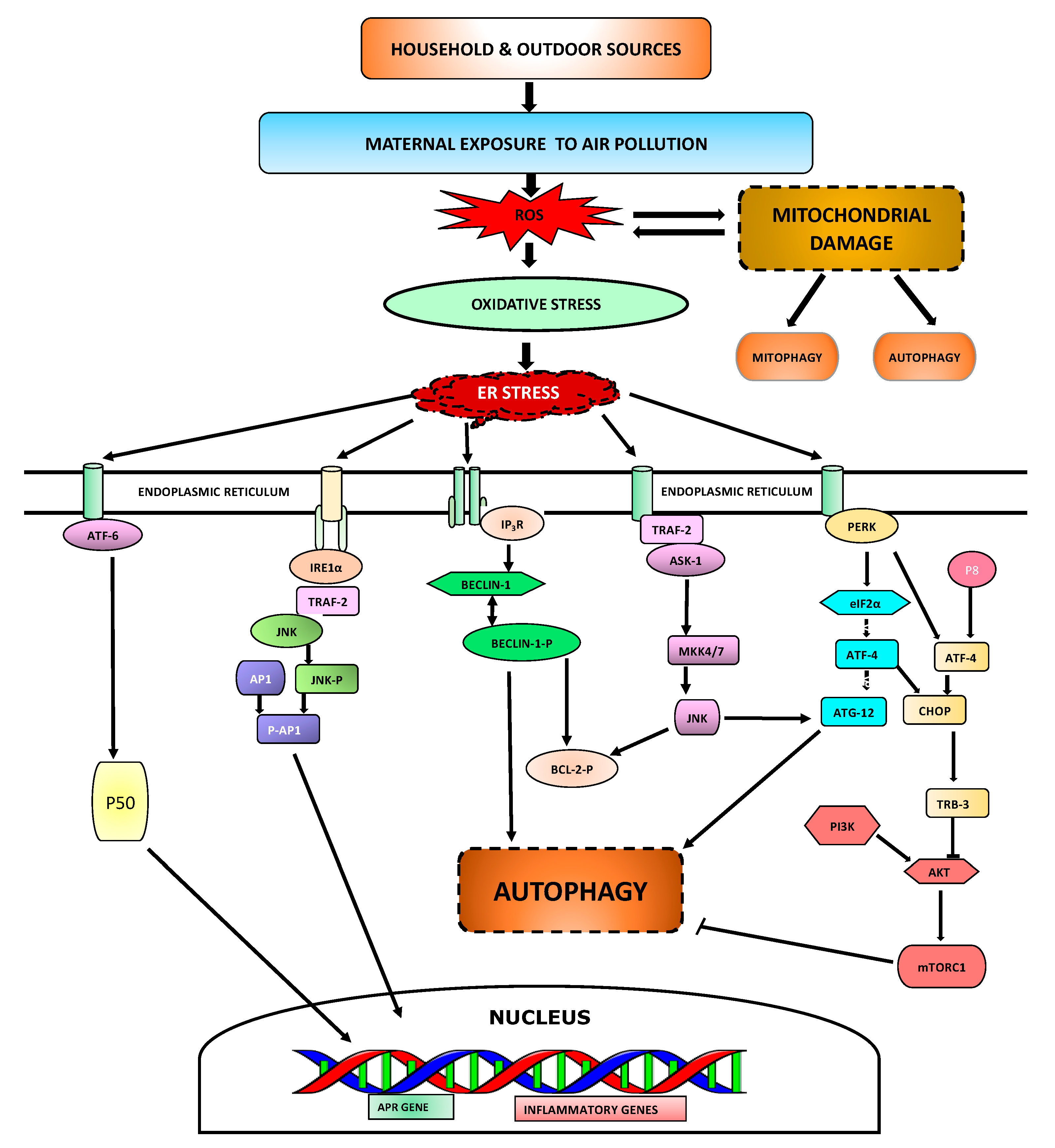 Toxics 06 00068 g002