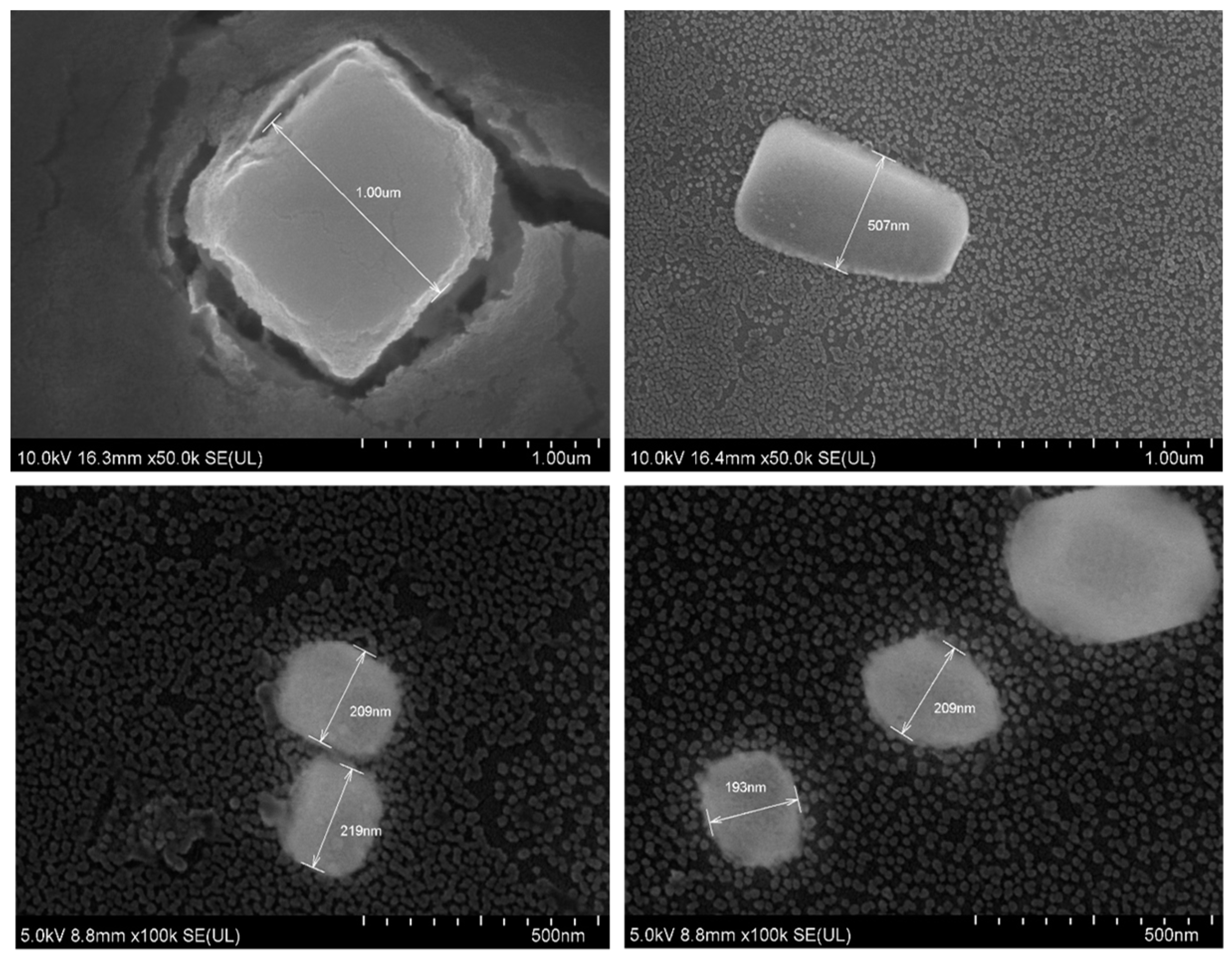Toxics 07 00010 g008 Toxics 07 00010 g008