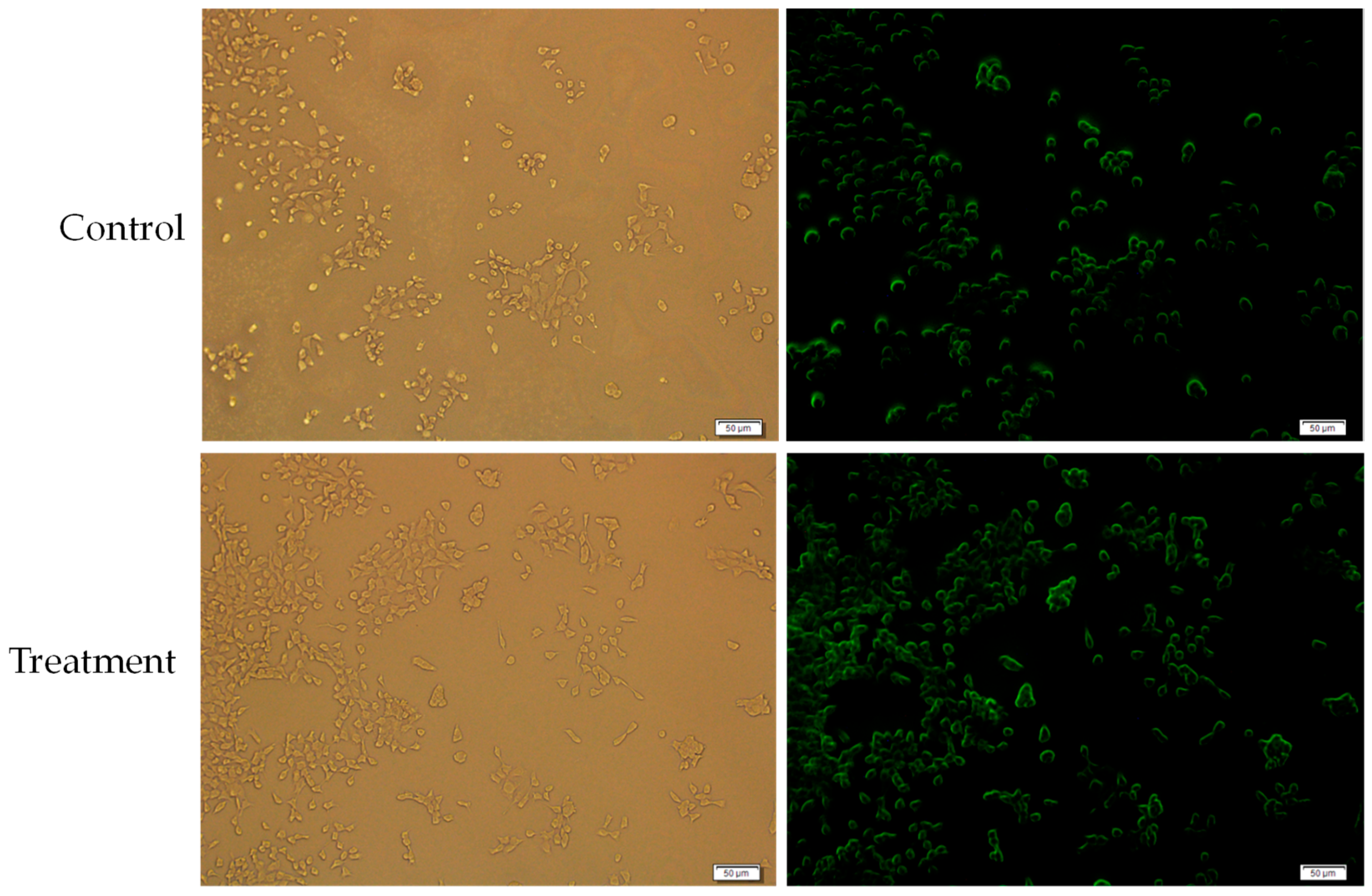 Toxics 07 00010 g013 Toxics 07 00010 g013
