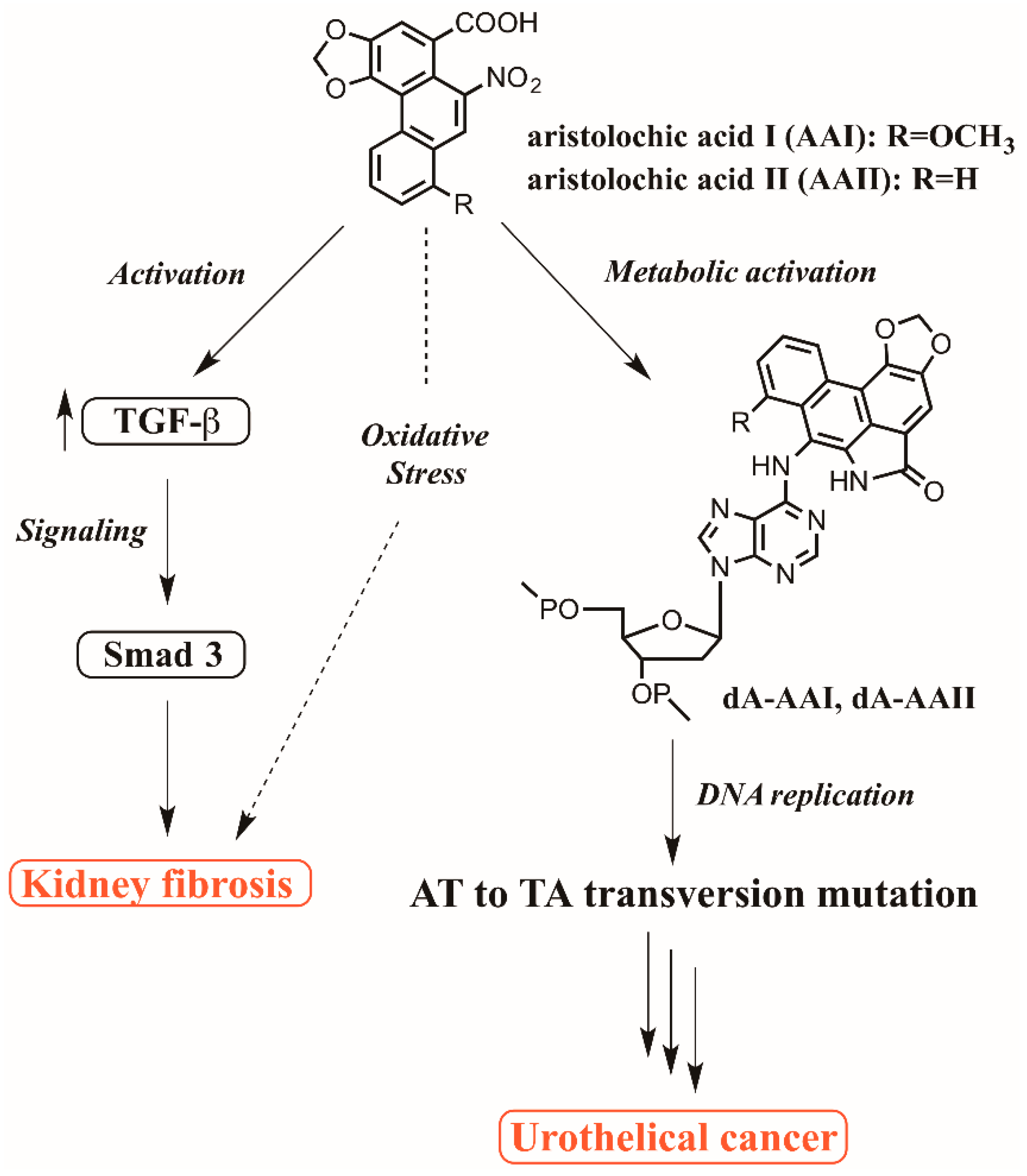 Toxics 07 00014 g001