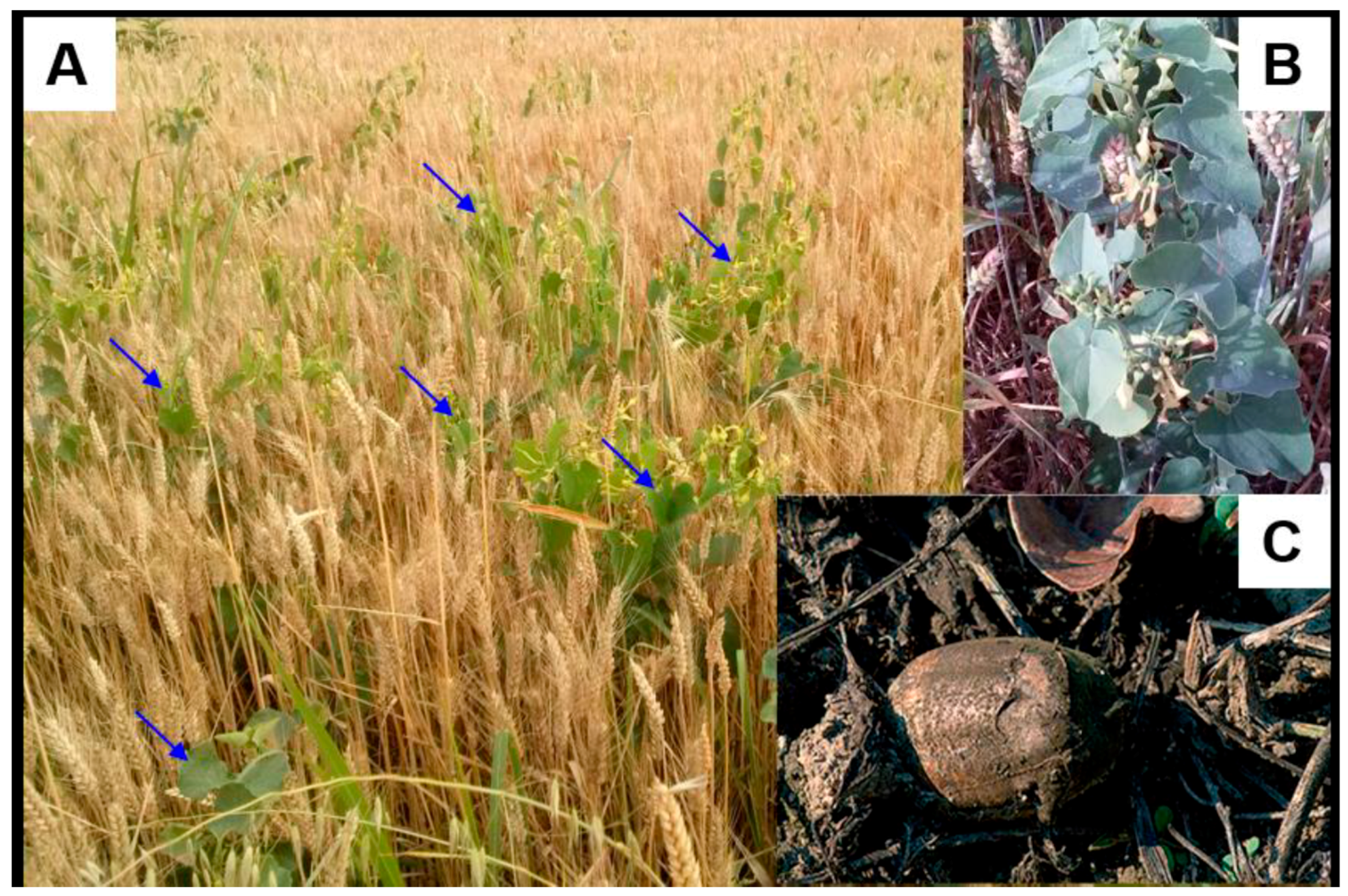 Toxics 07 00014 g003