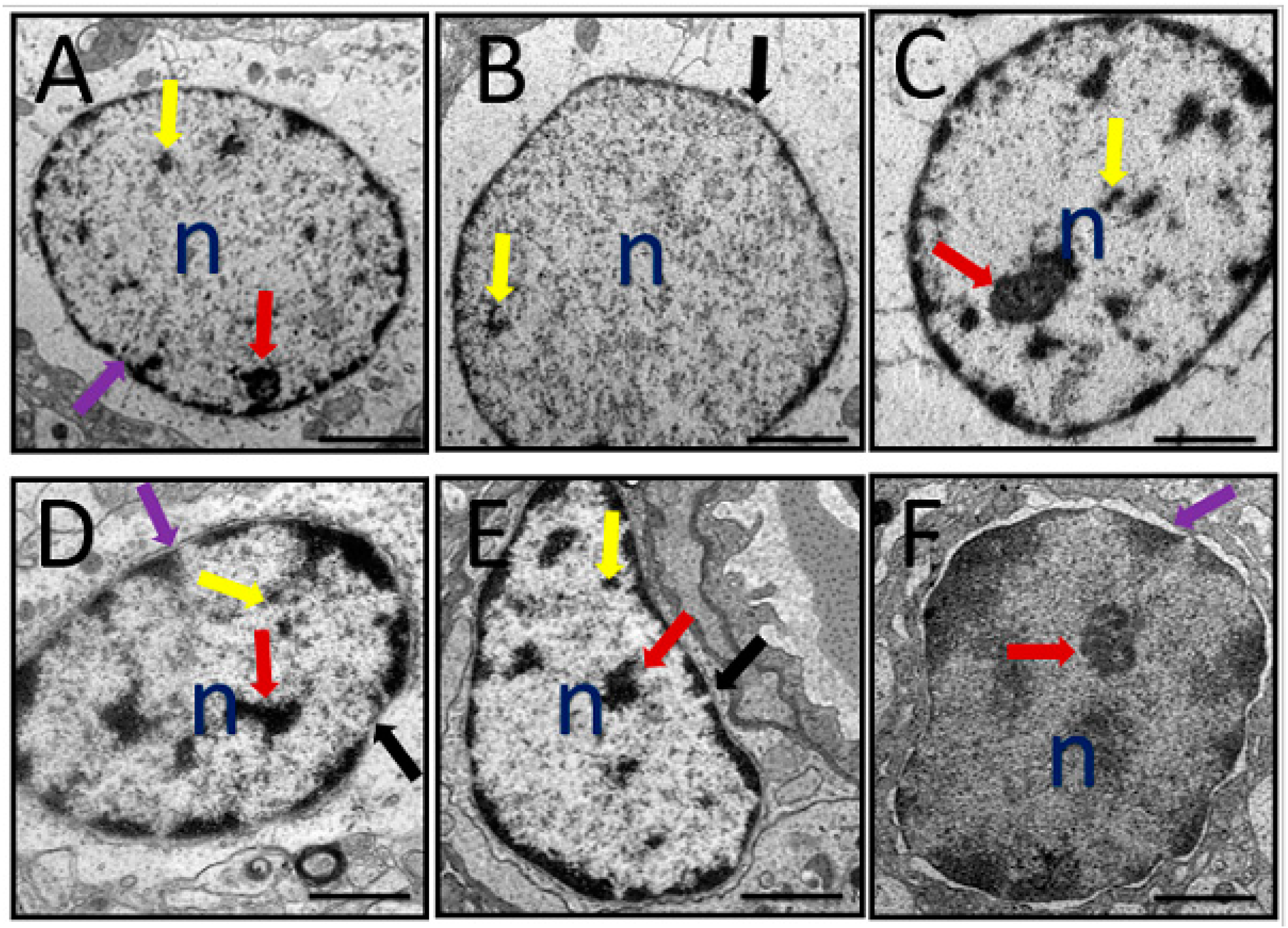 Toxics 07 00019 g007