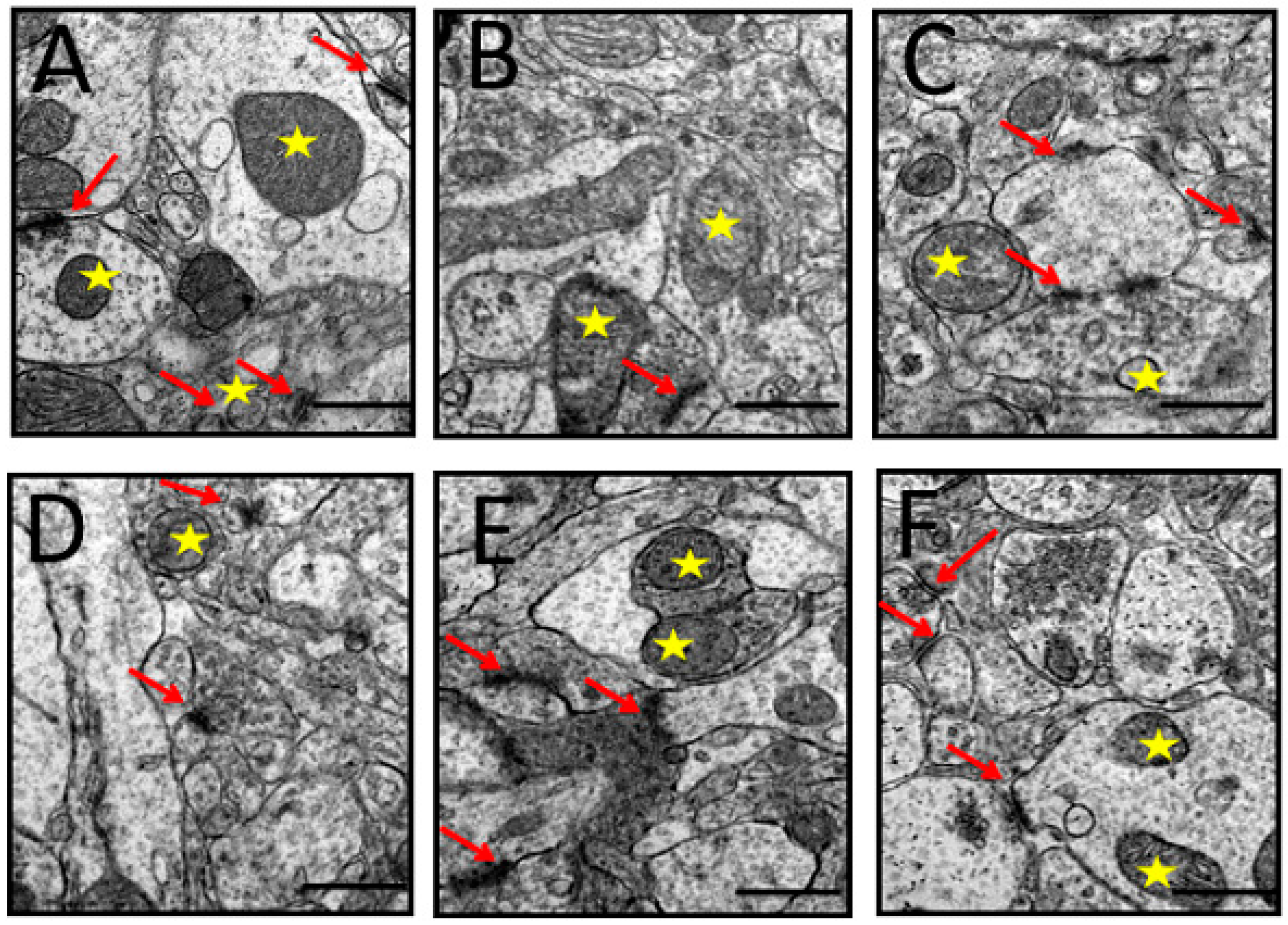 Toxics 07 00019 g008