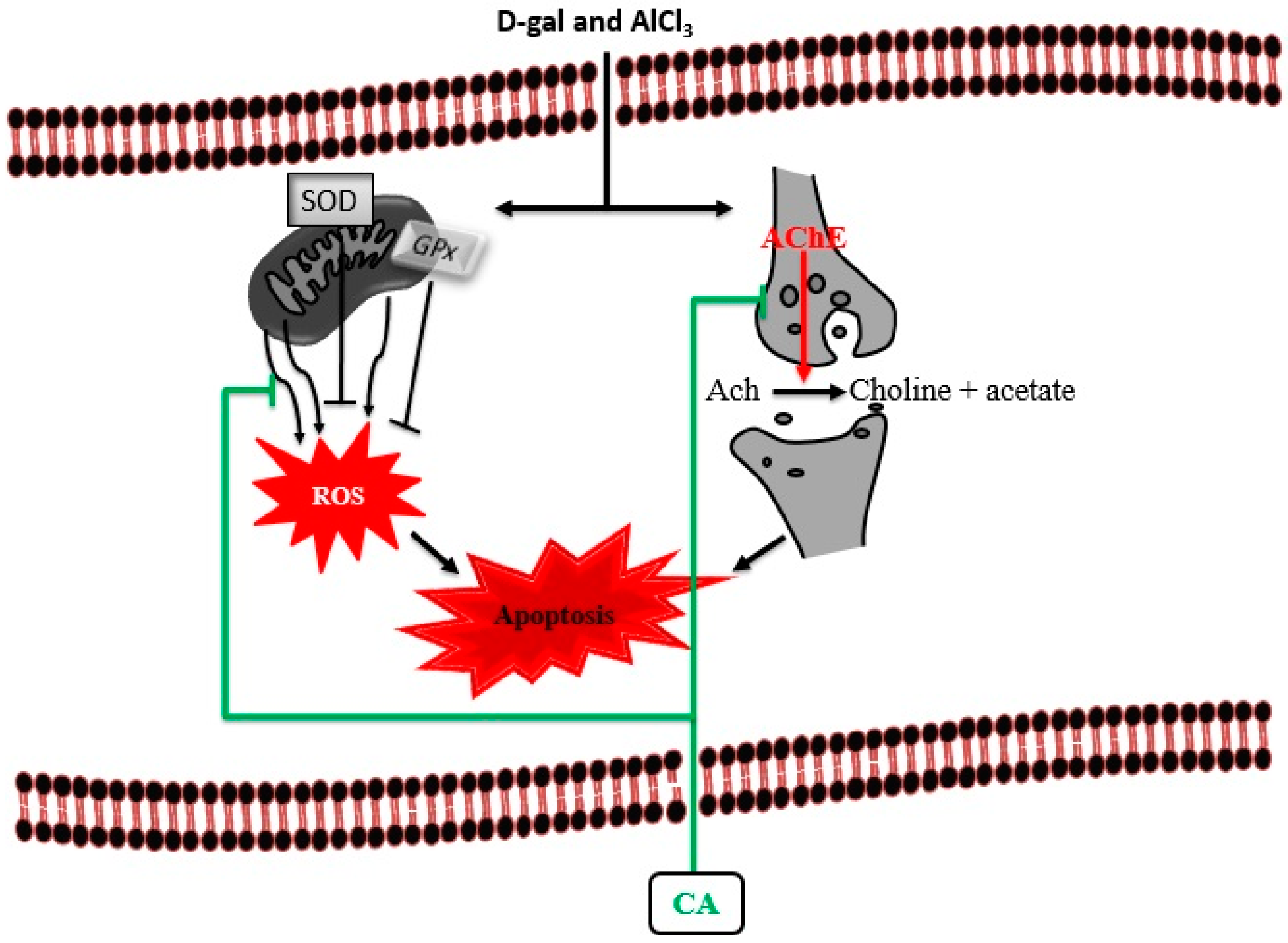 Toxics 07 00019 g009
