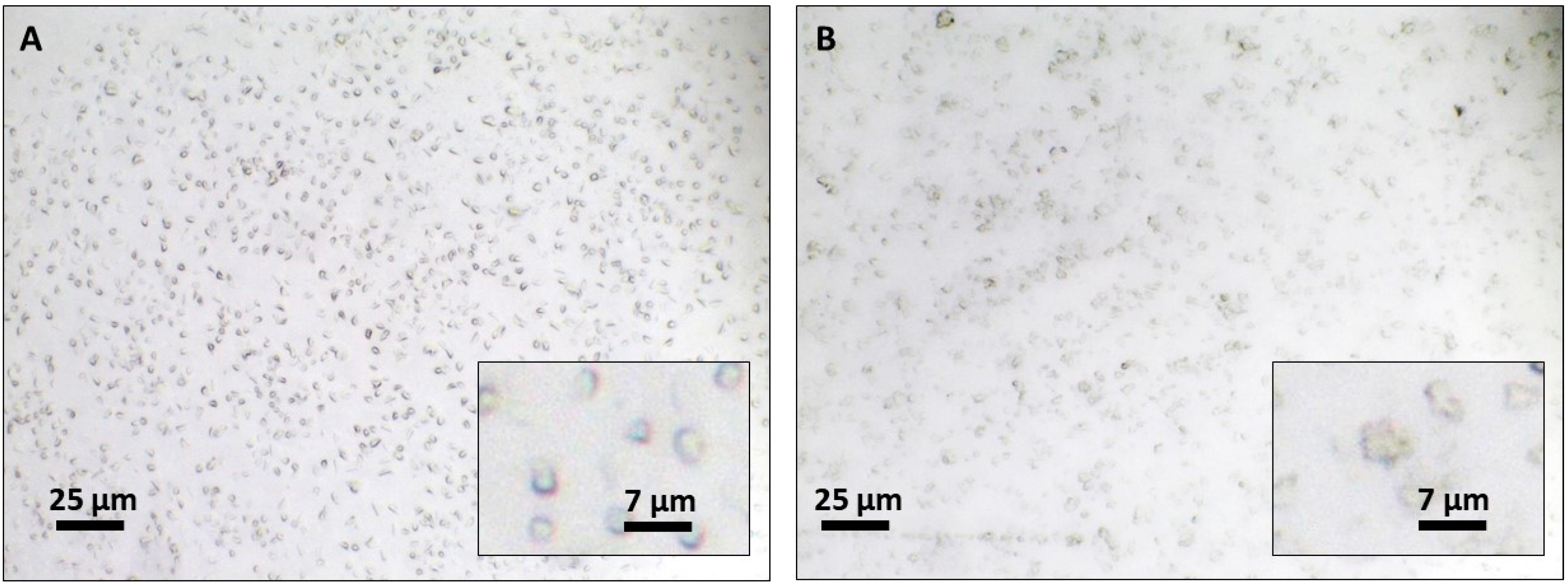 Toxics 07 00051 g005 Toxics 07 00051 g005