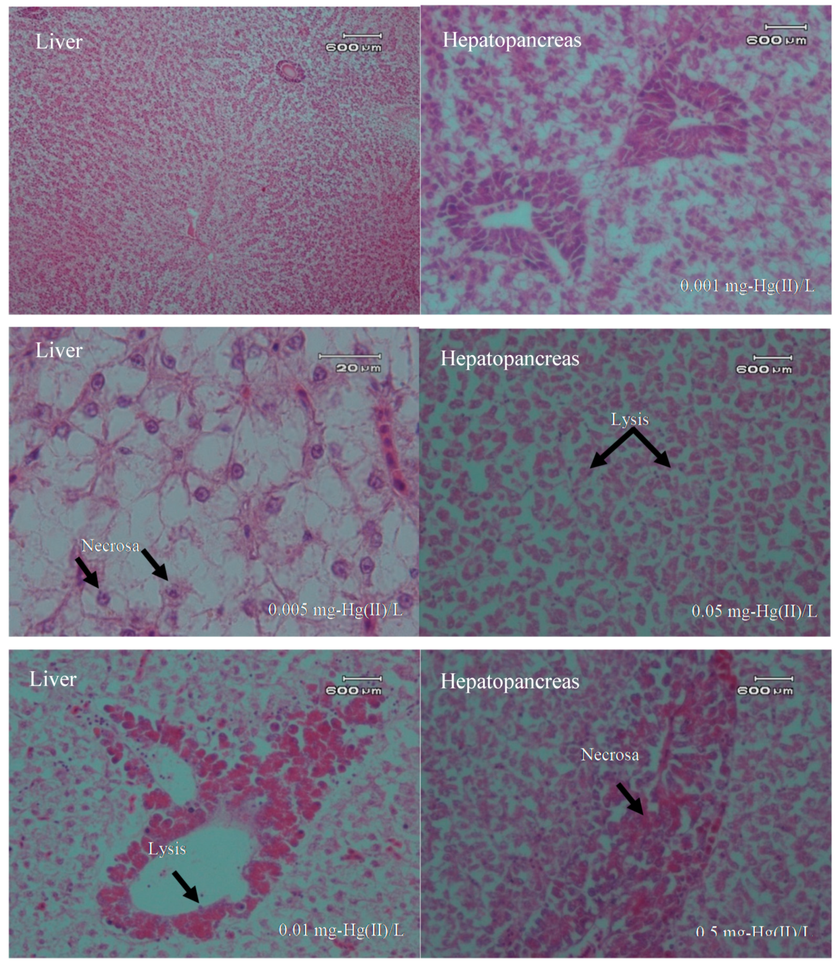 Toxics 07 00058 g004