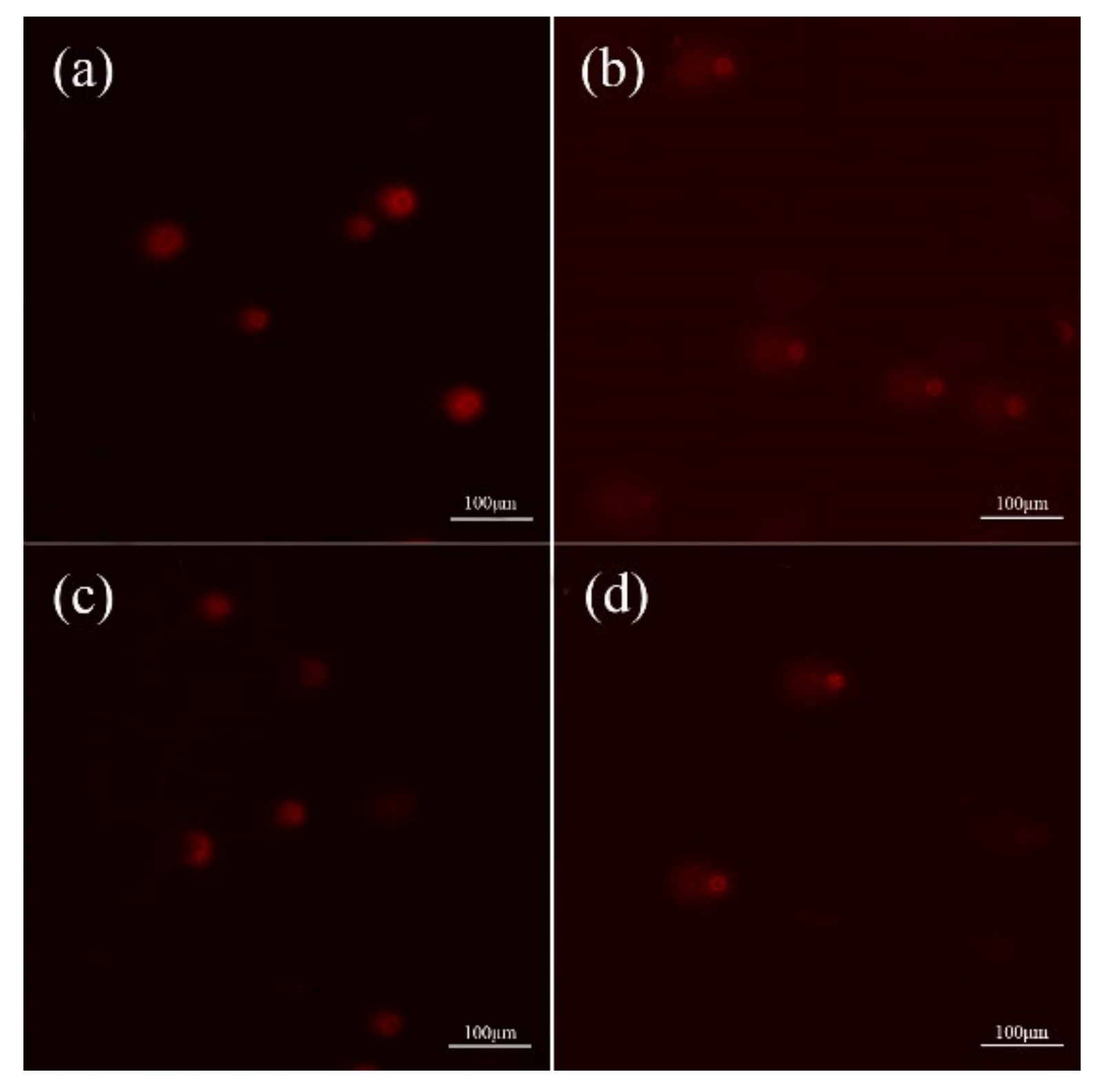 Toxics 08 00012 g003 Toxics 08 00012 g003