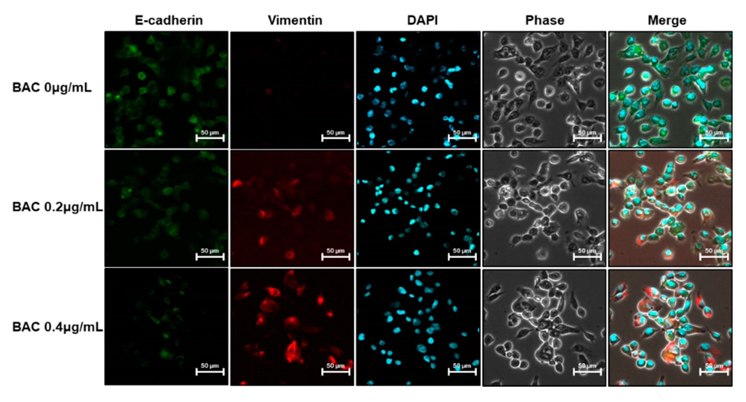 Toxics 08 00017 g006