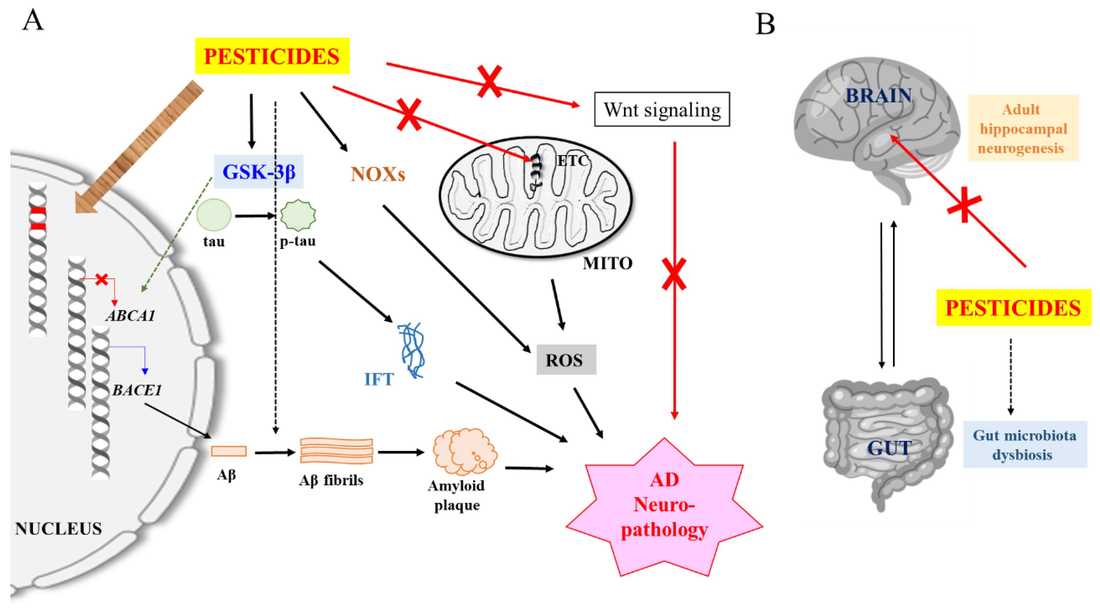 Toxics 08 00021 g001