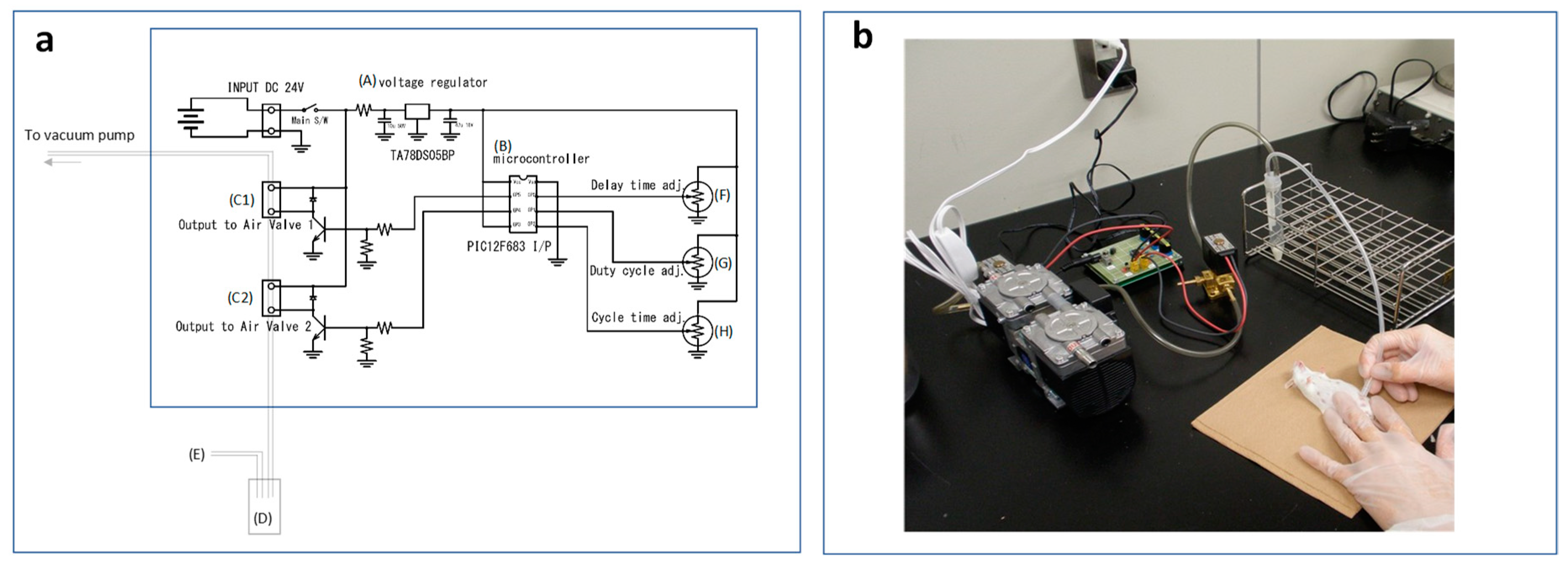 Toxics 08 00023 g001