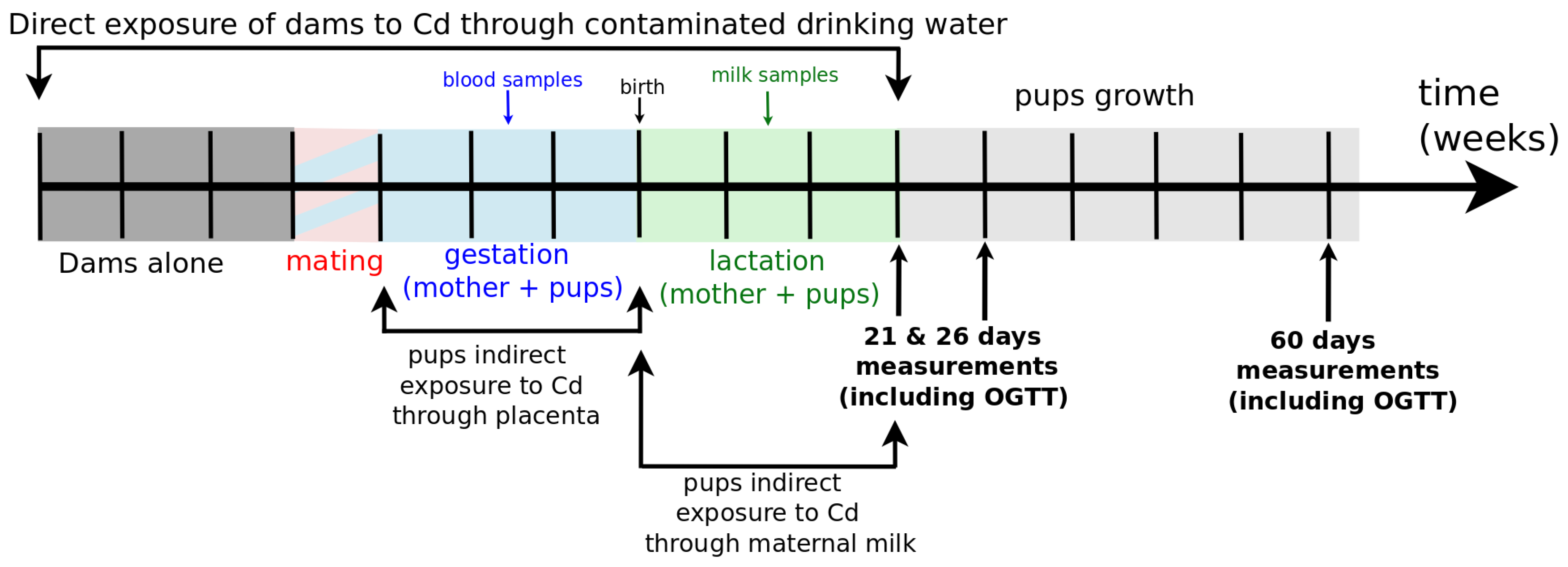 Toxics 08 00030 g001