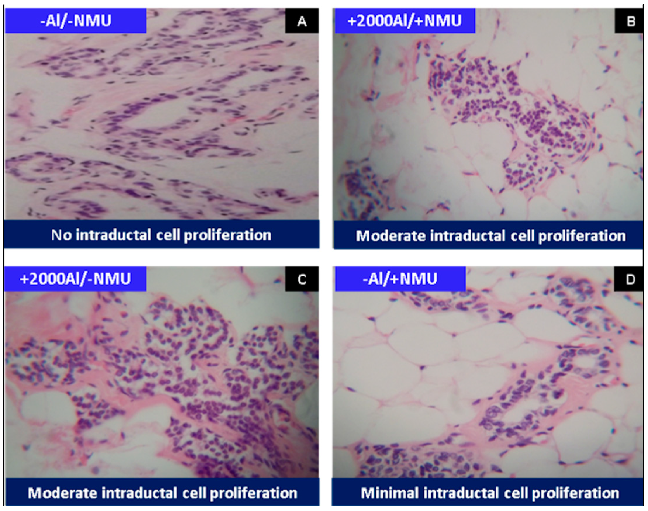 Toxics 08 00031 g001