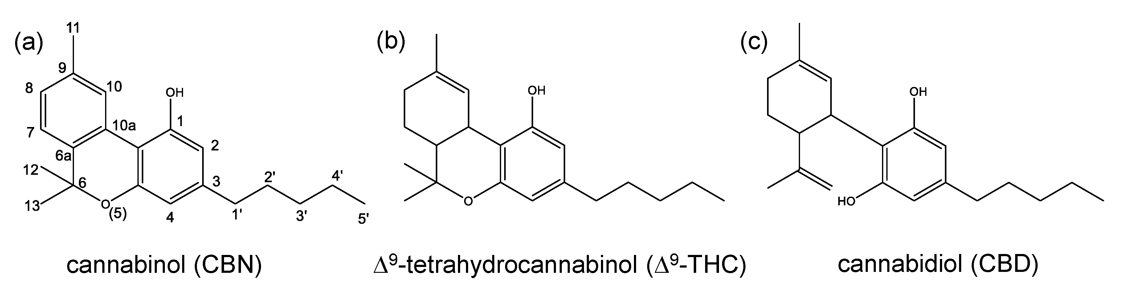 Toxics 08 00041 g001