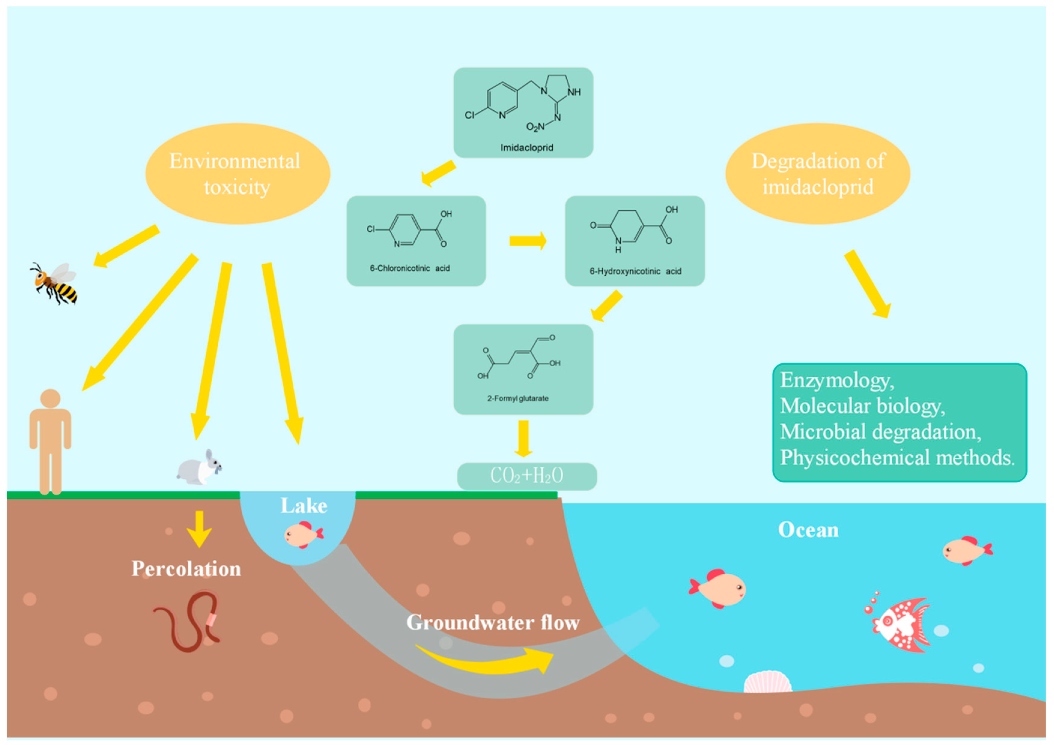 Toxics 08 00065 g001