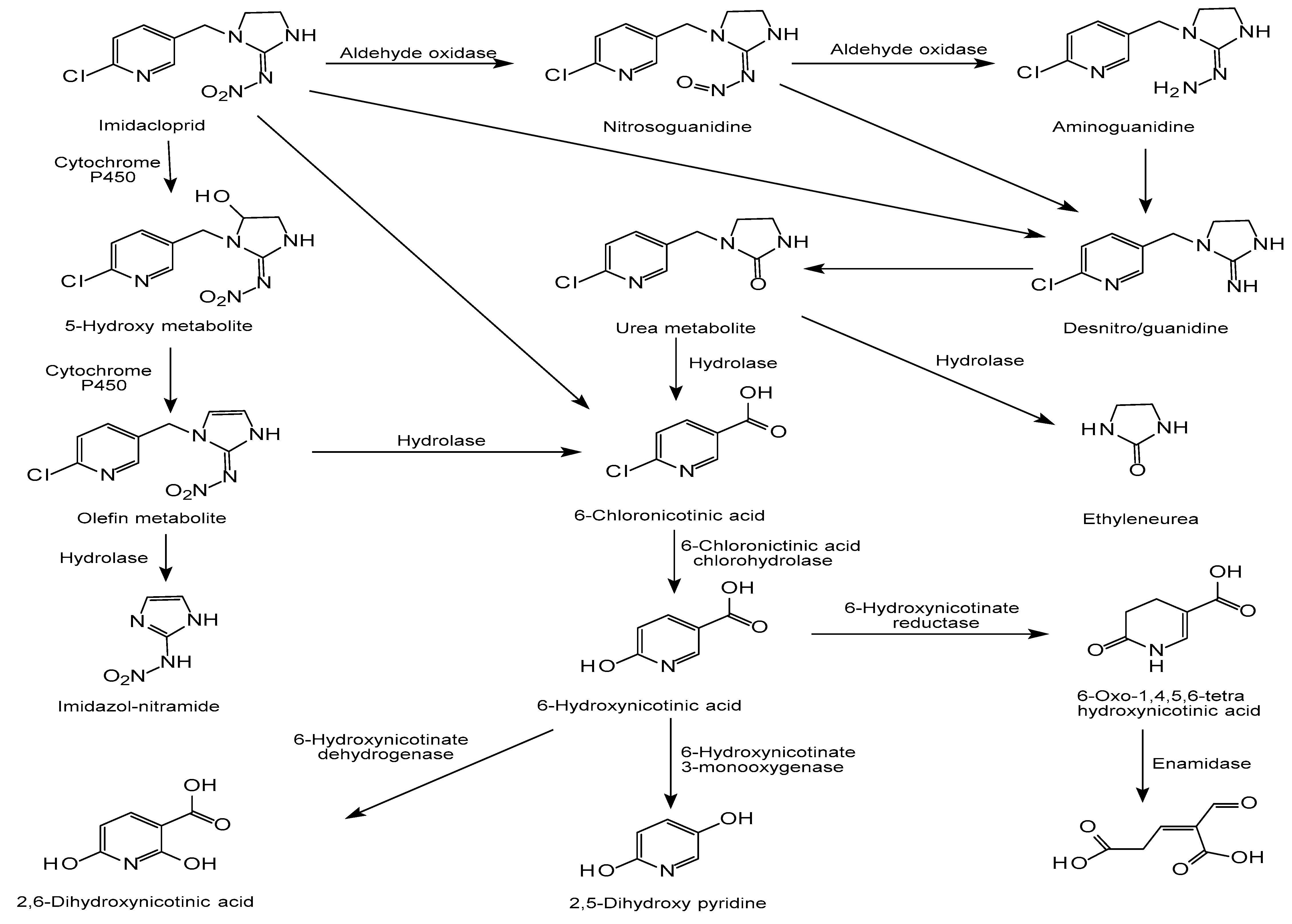 Toxics 08 00065 g004