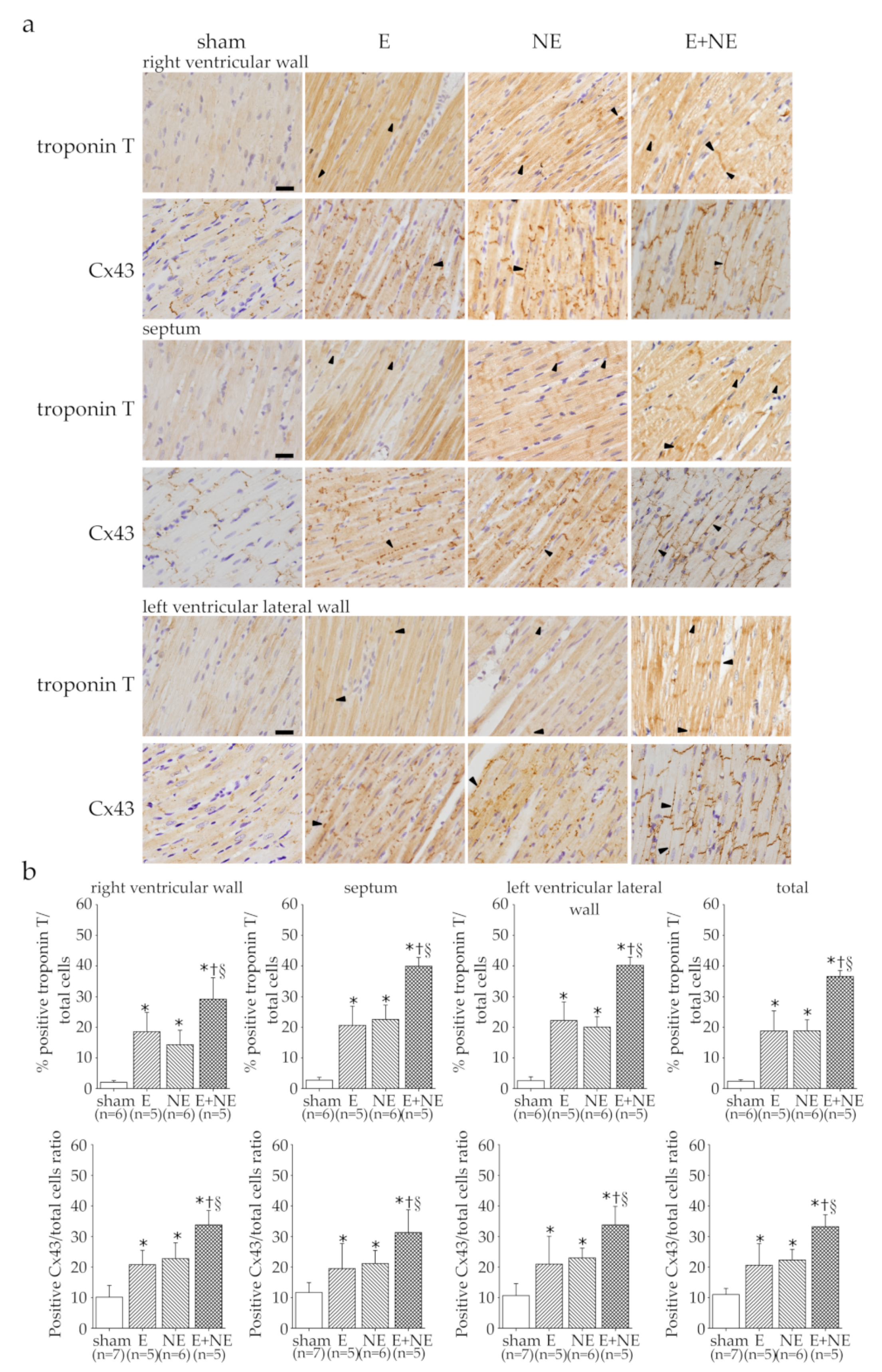 Toxics 08 00069 g003