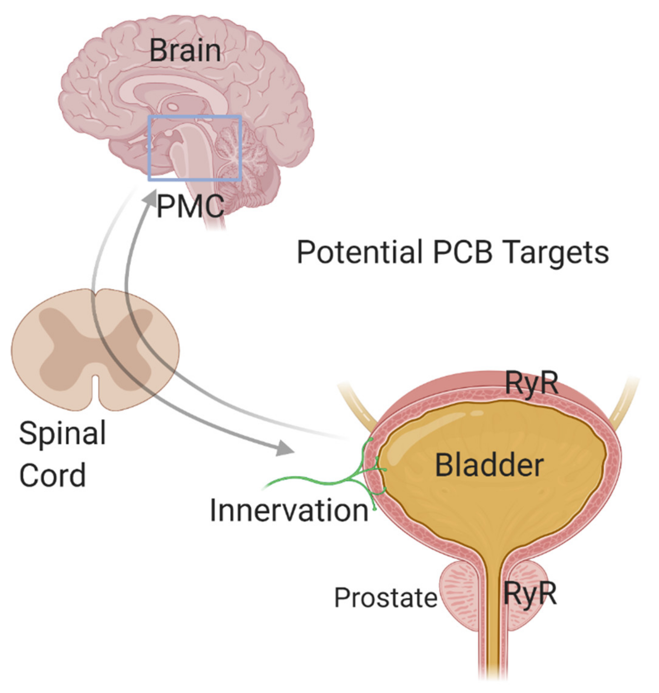 Toxics 08 00070 g003 Toxics 08 00070 g003