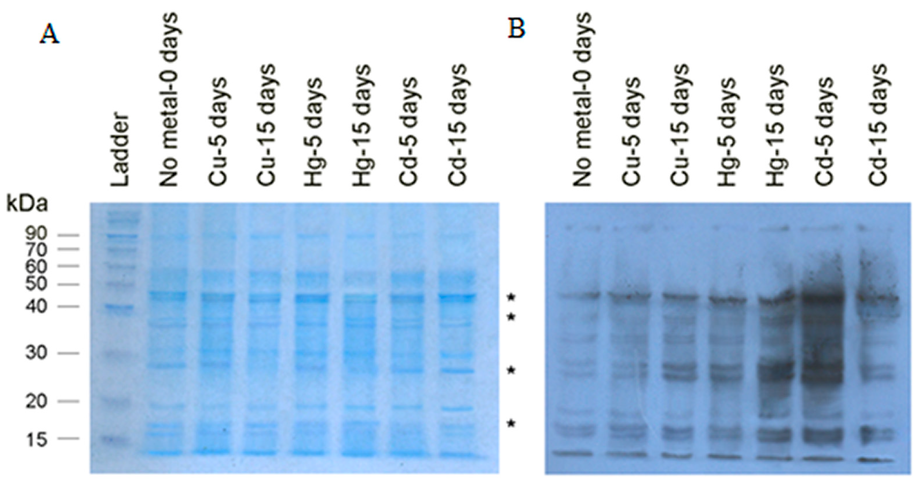 Toxics 08 00089 g003