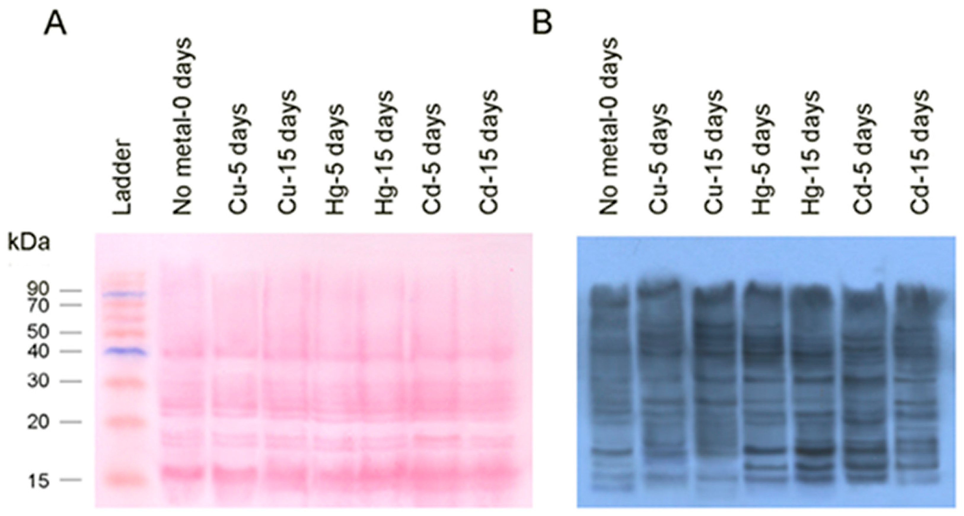 Toxics 08 00089 g004