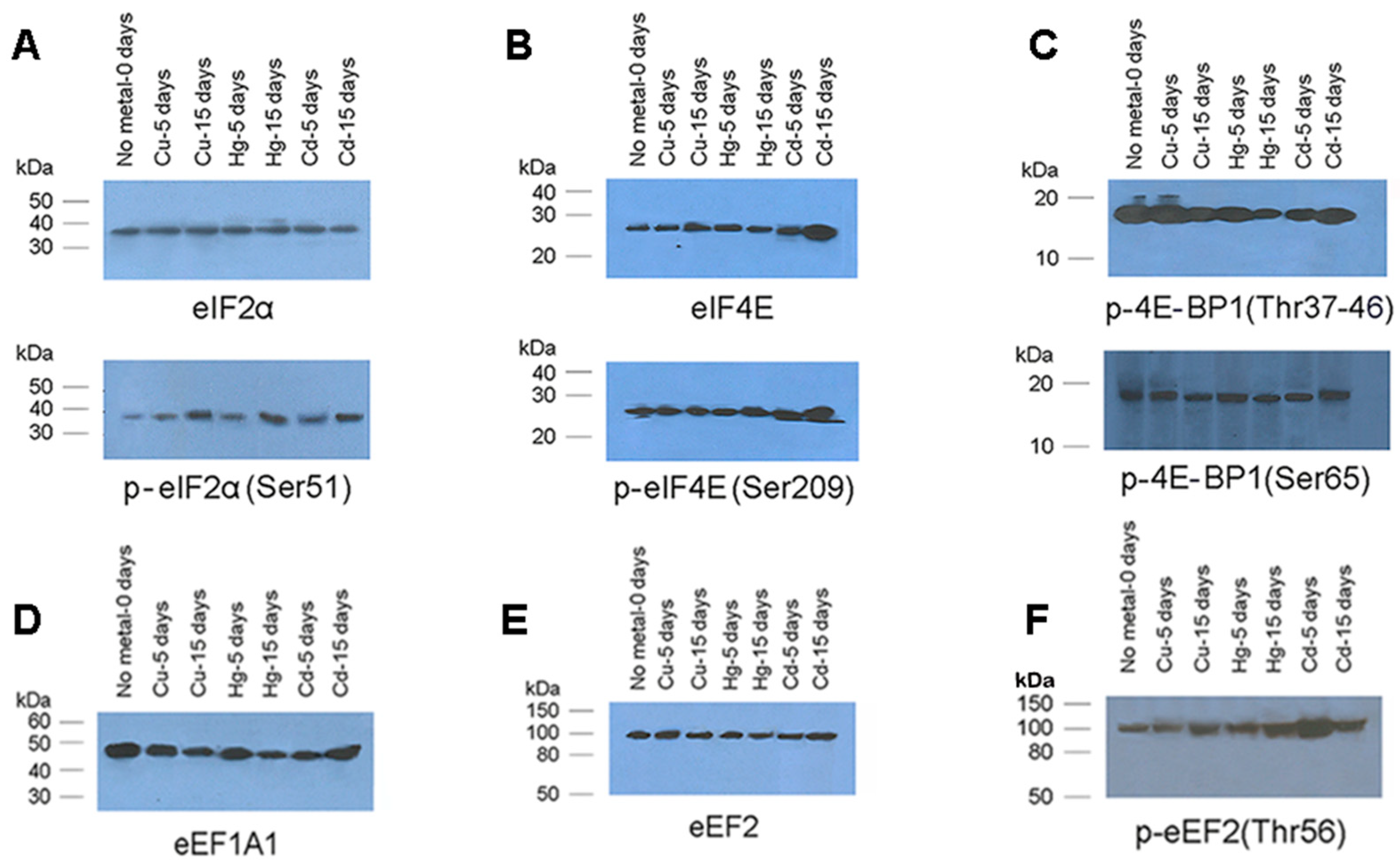 Toxics 08 00089 g005