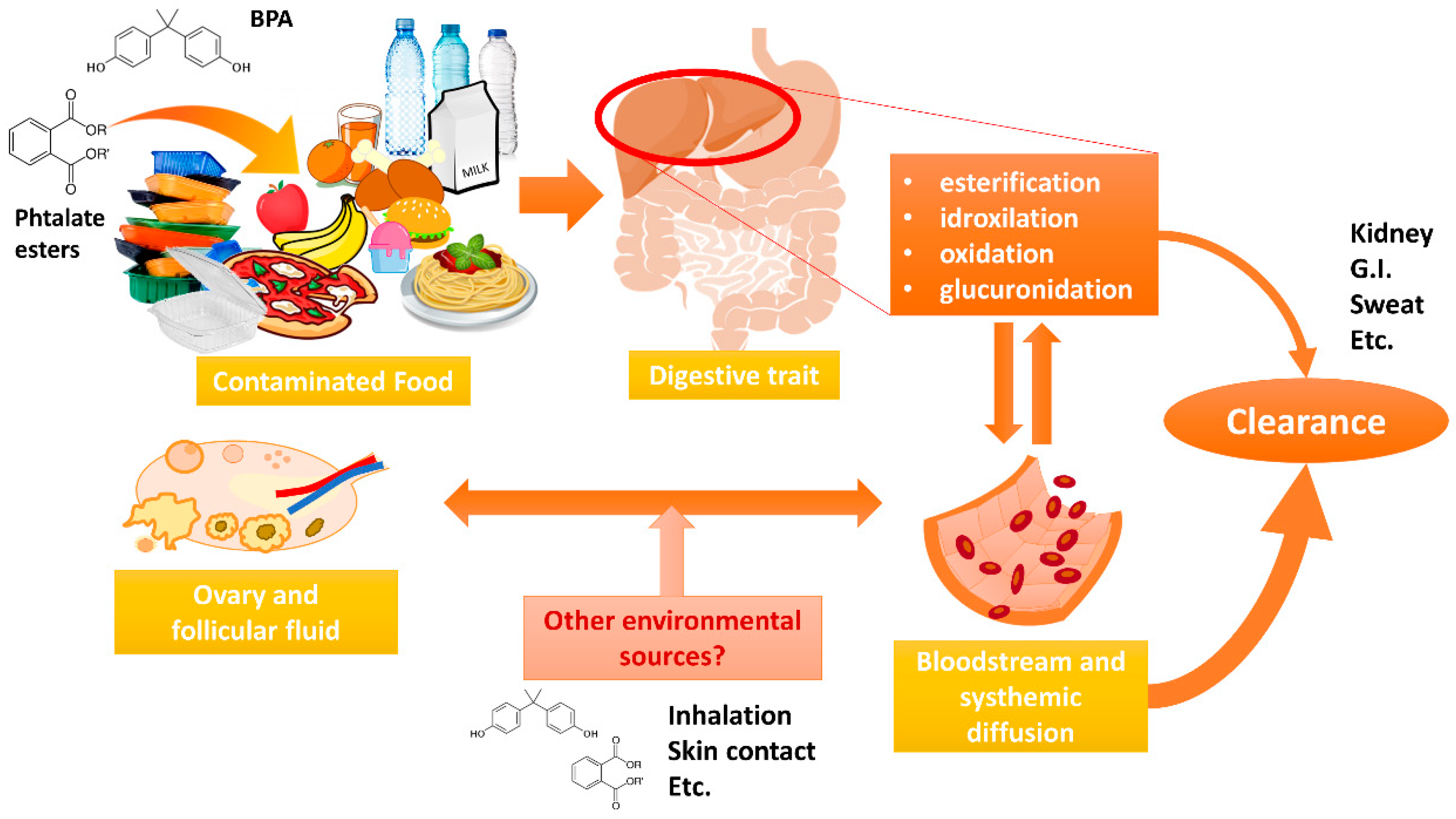 Toxics 08 00091 g005