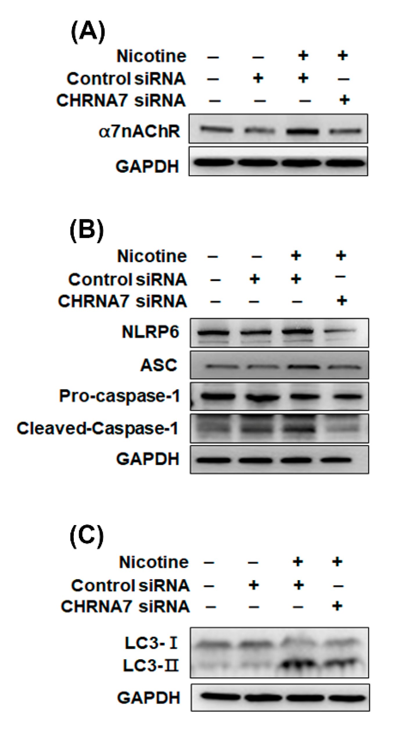 Toxics 08 00092 g005