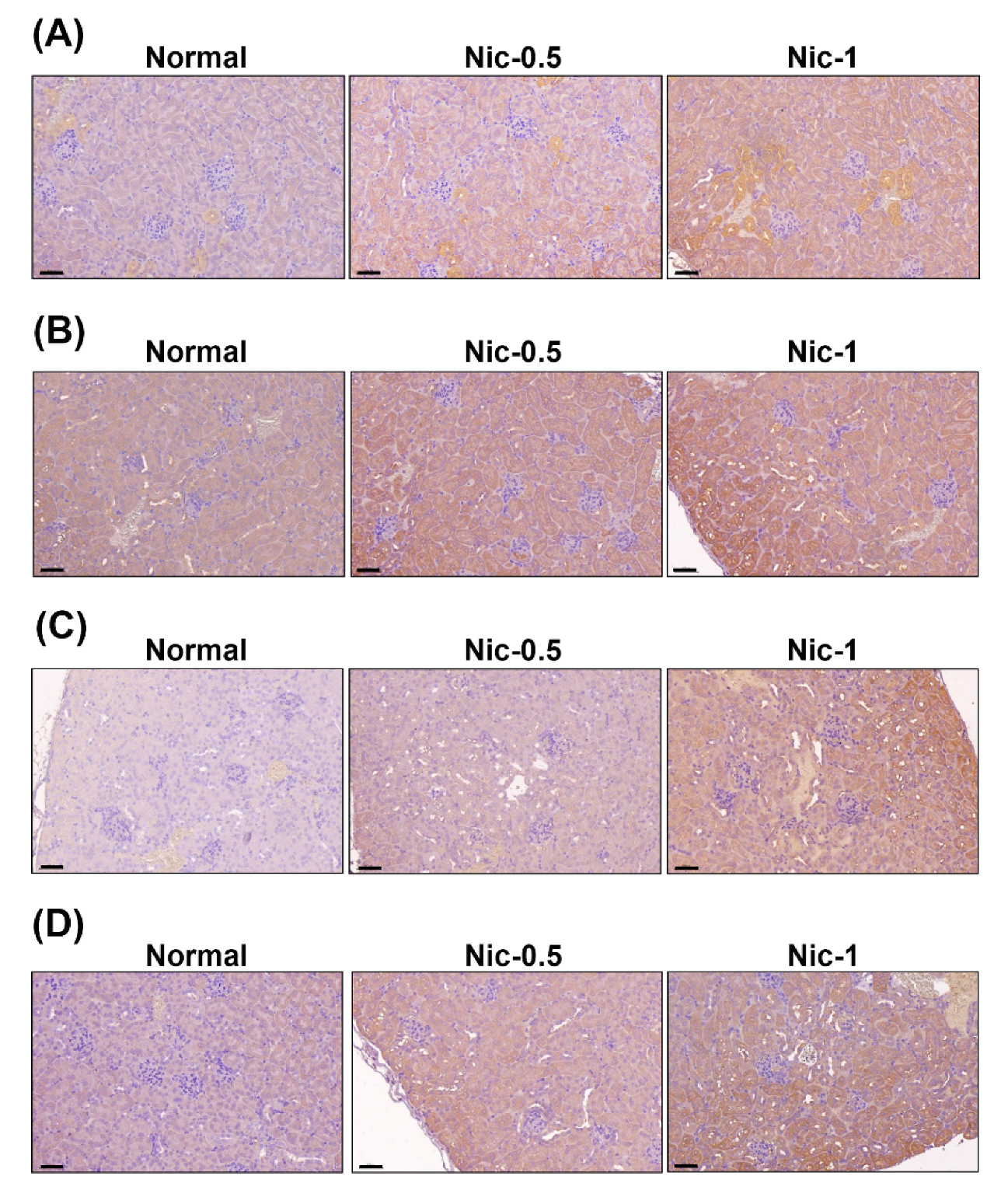 Toxics 08 00092 g007