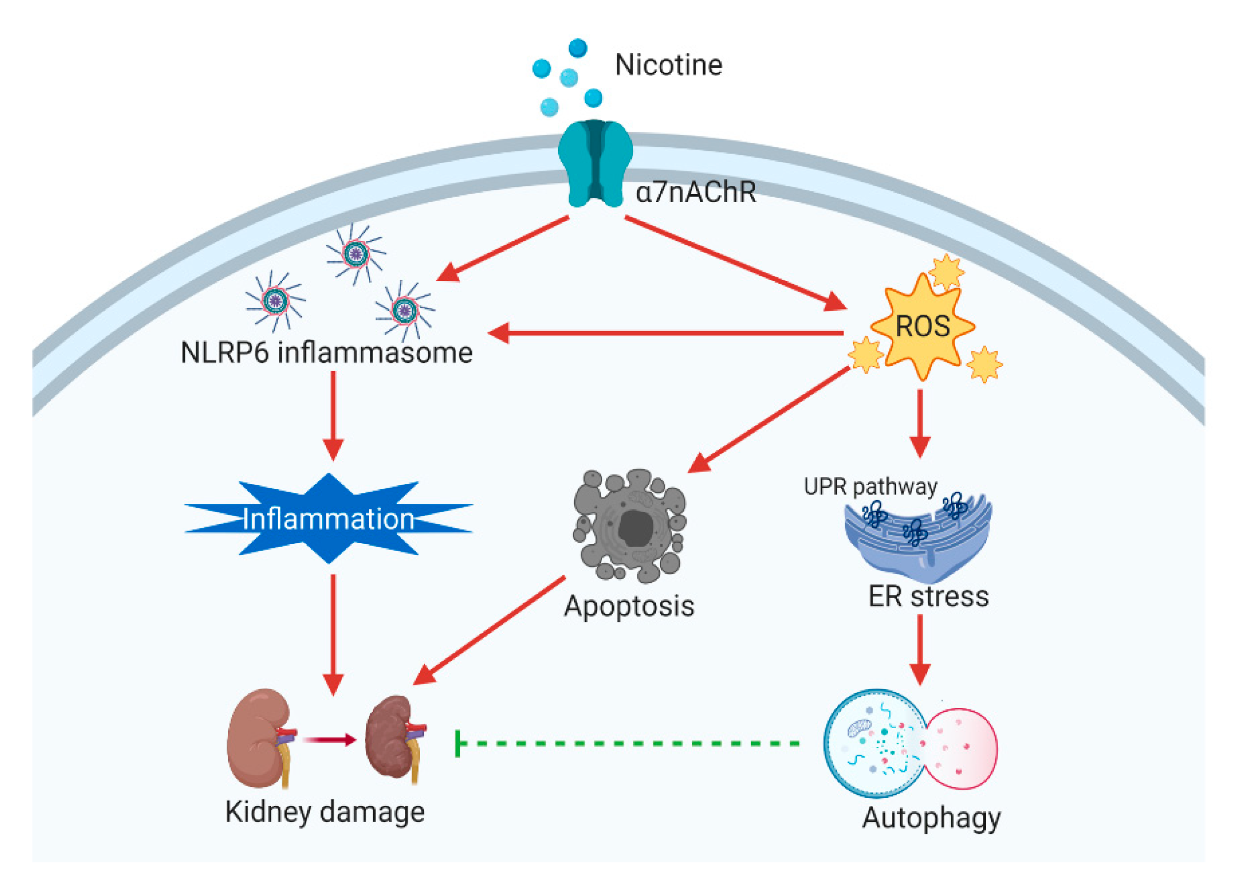 Toxics 08 00092 g008