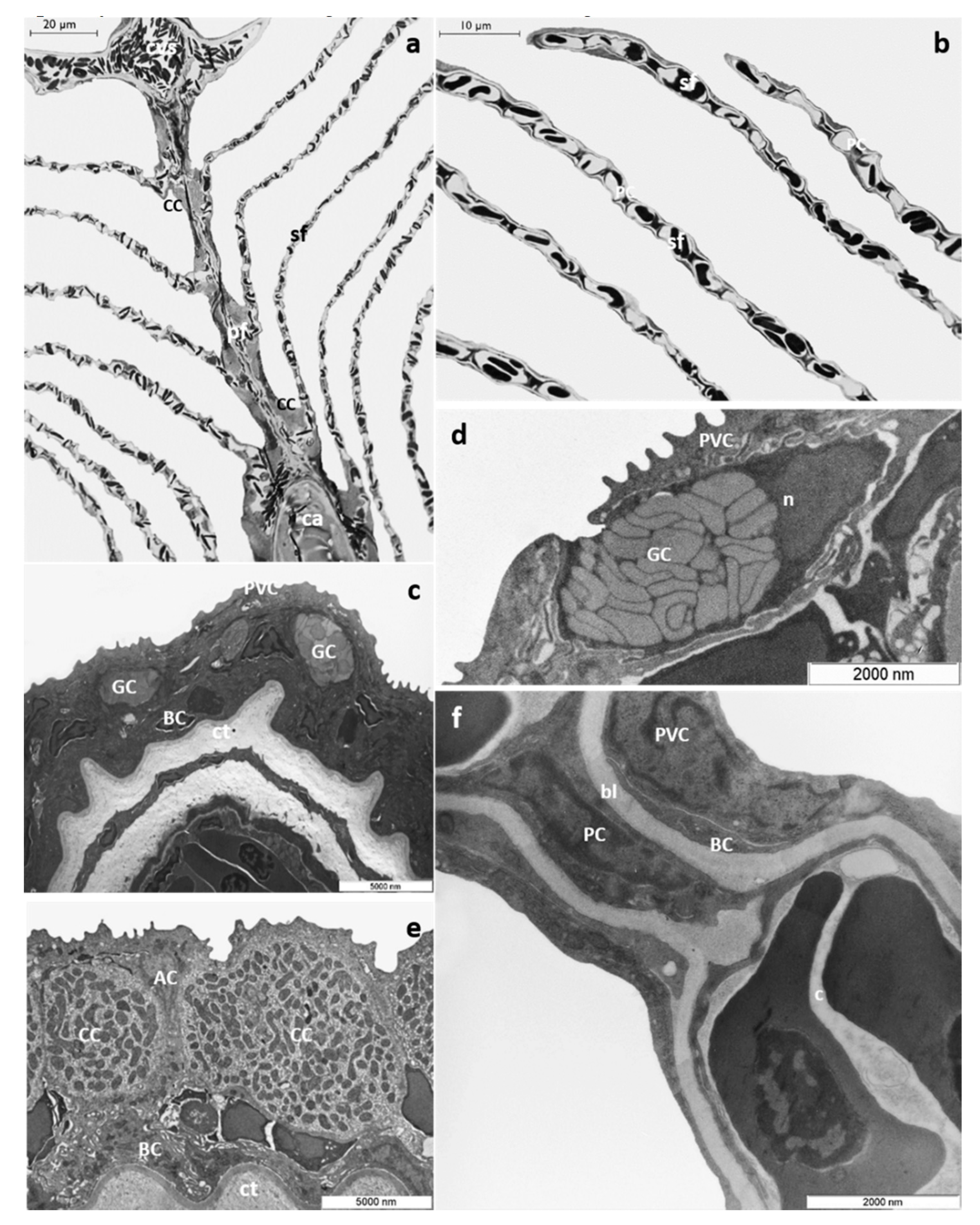 Toxics 08 00097 g001