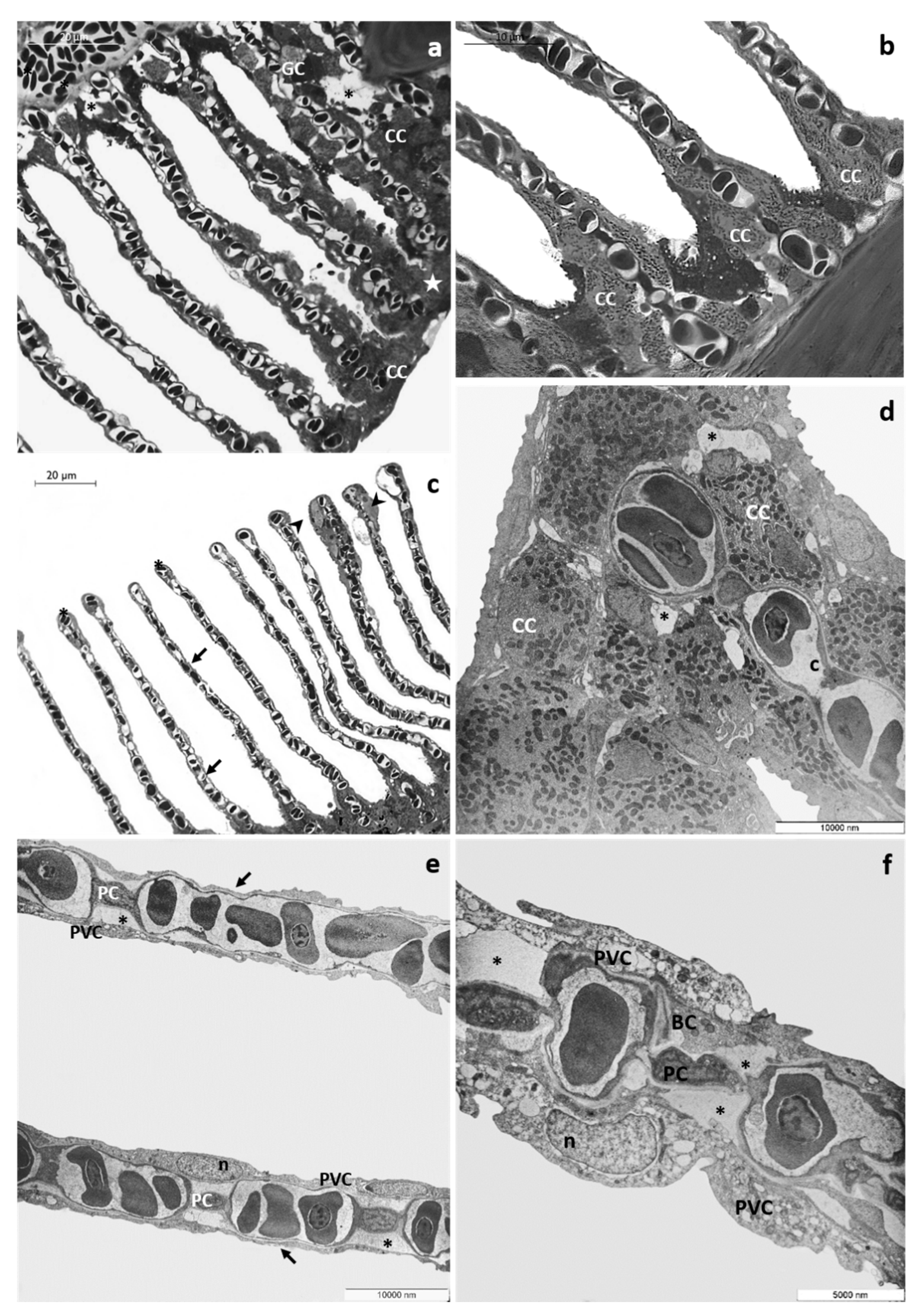 Toxics 08 00097 g003