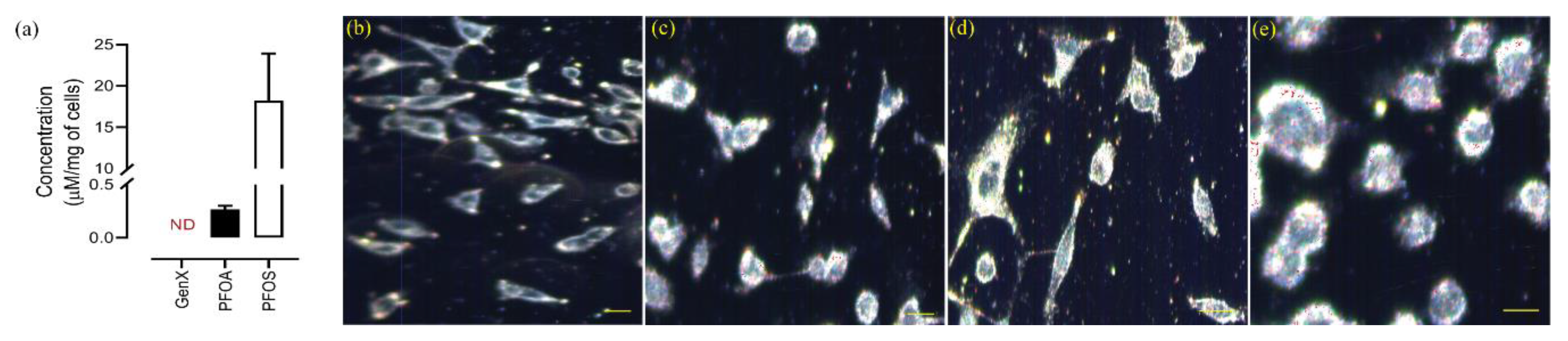 Toxics 08 00112 g006