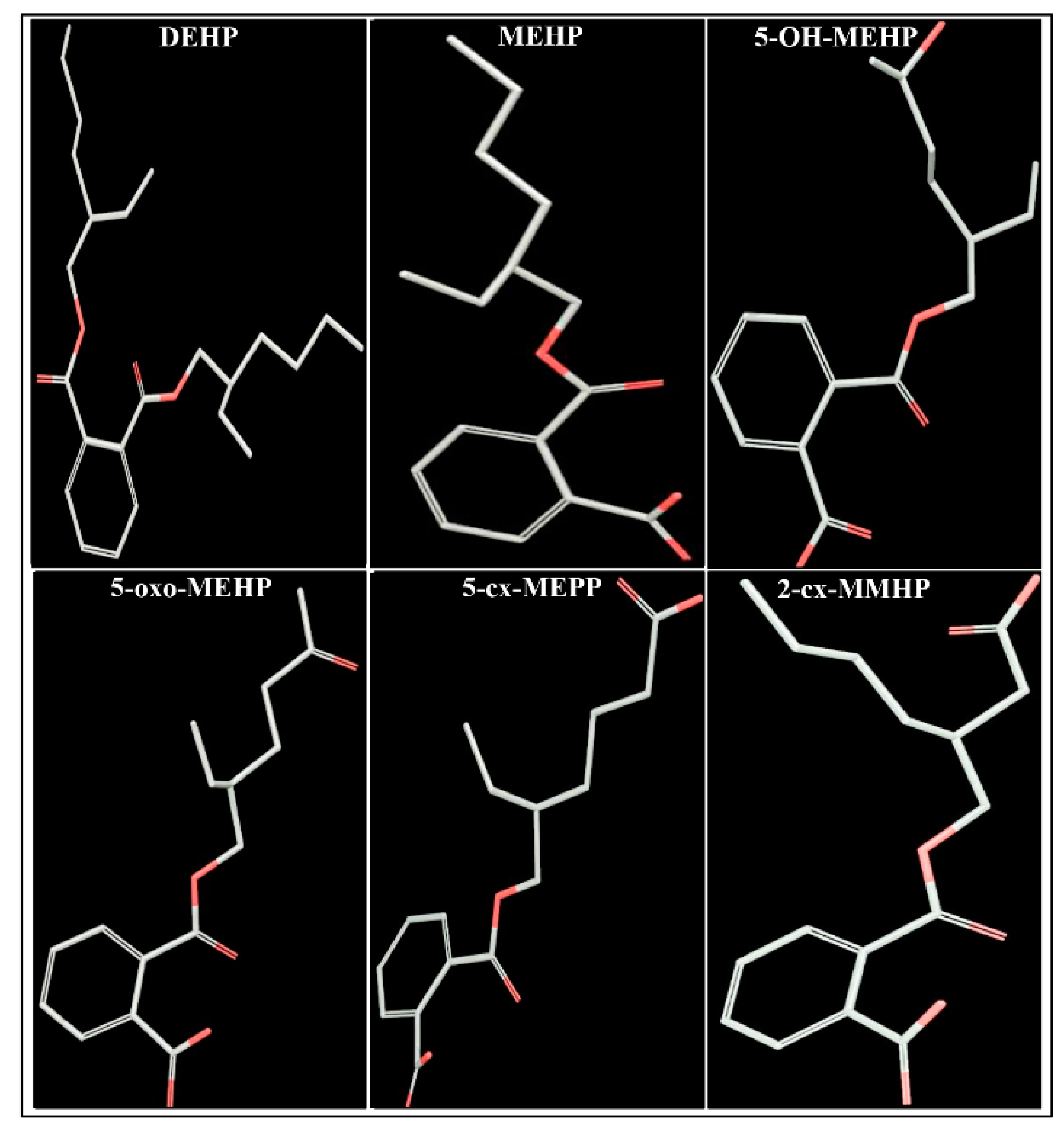 Toxics 08 00115 g001