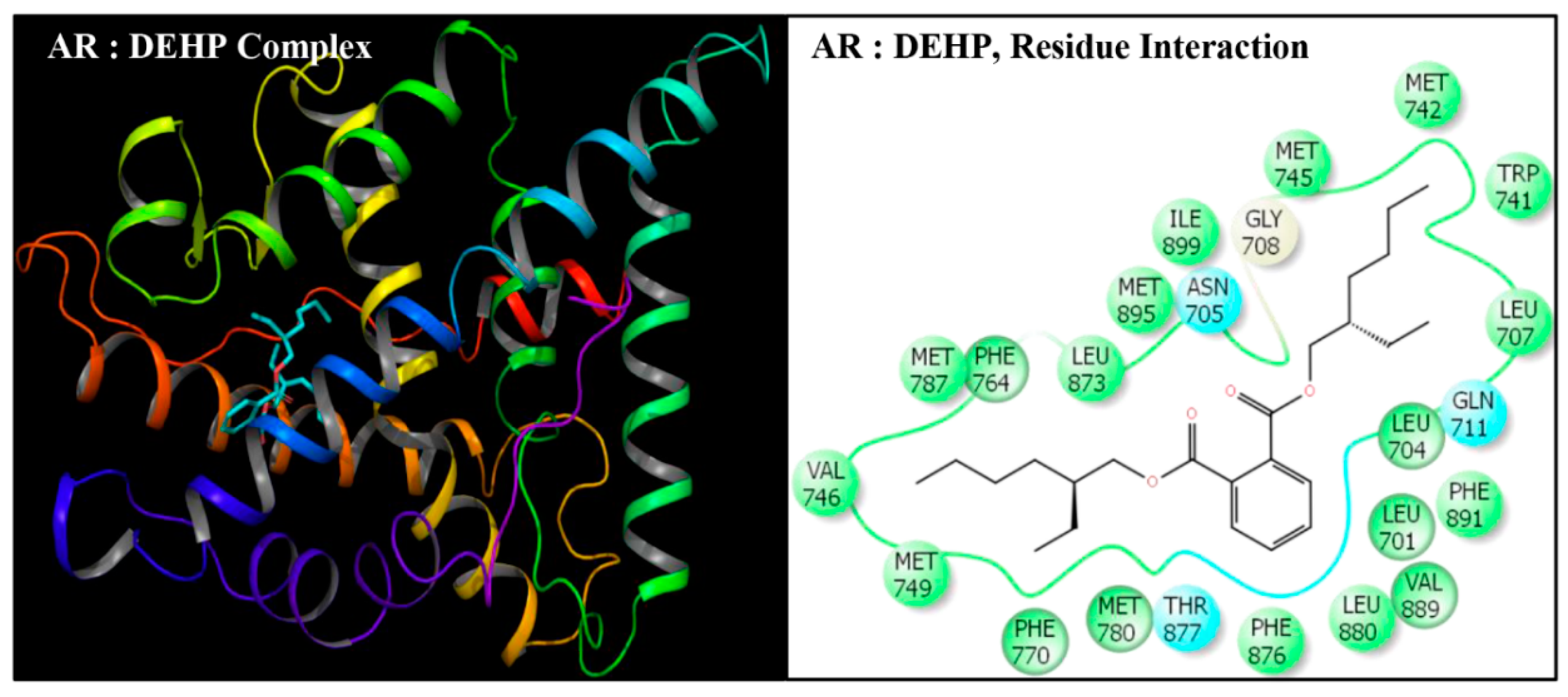 Toxics 08 00115 g002
