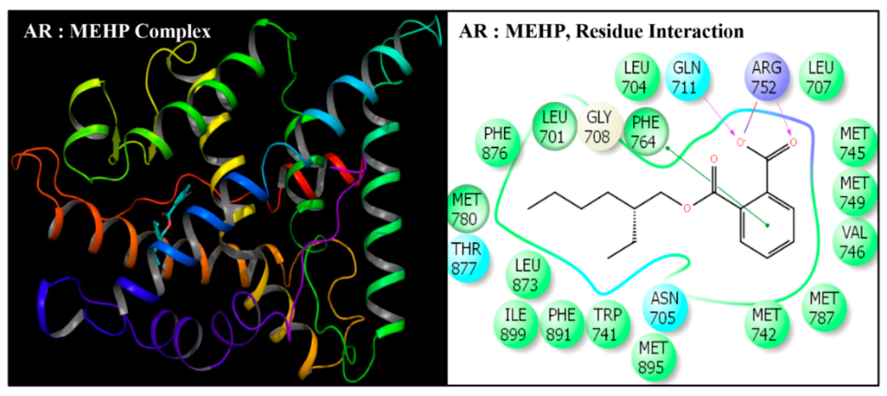 Toxics 08 00115 g003