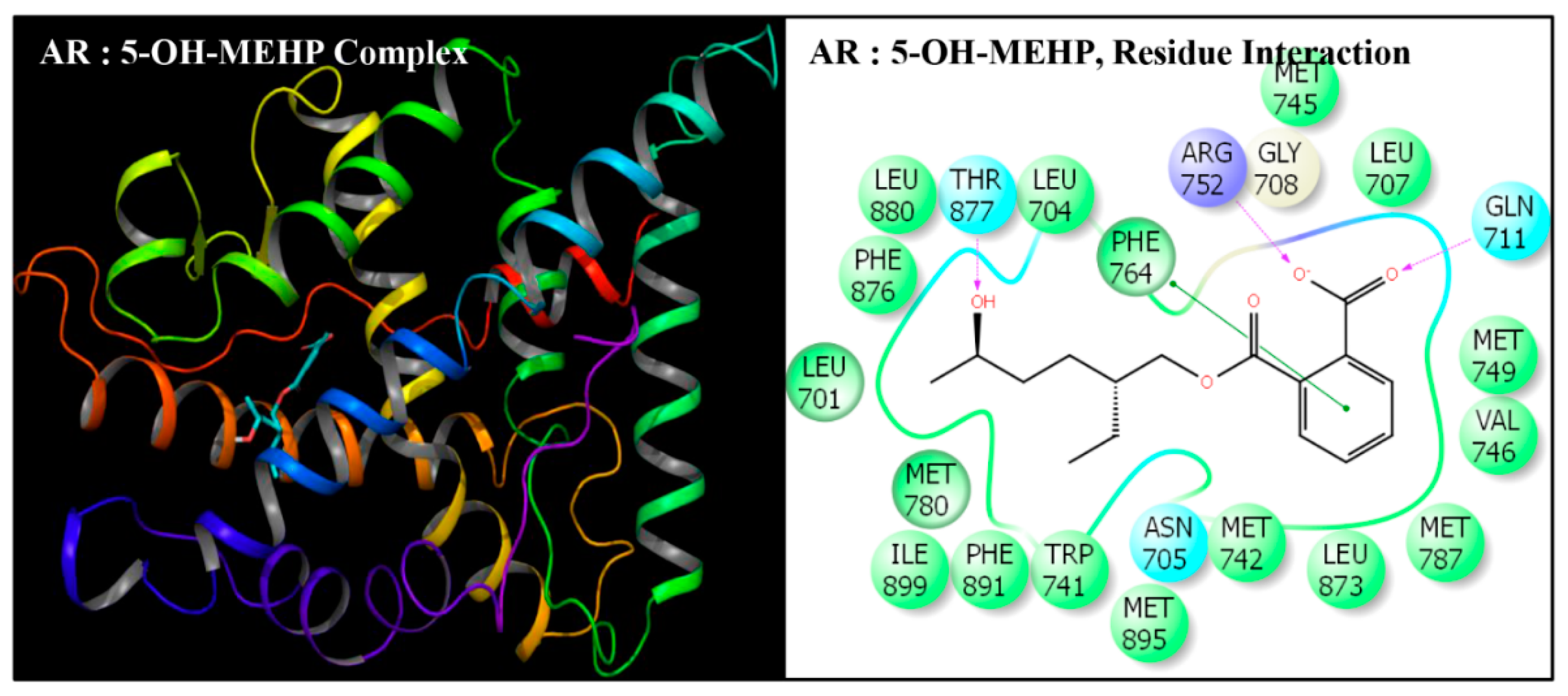 Toxics 08 00115 g004