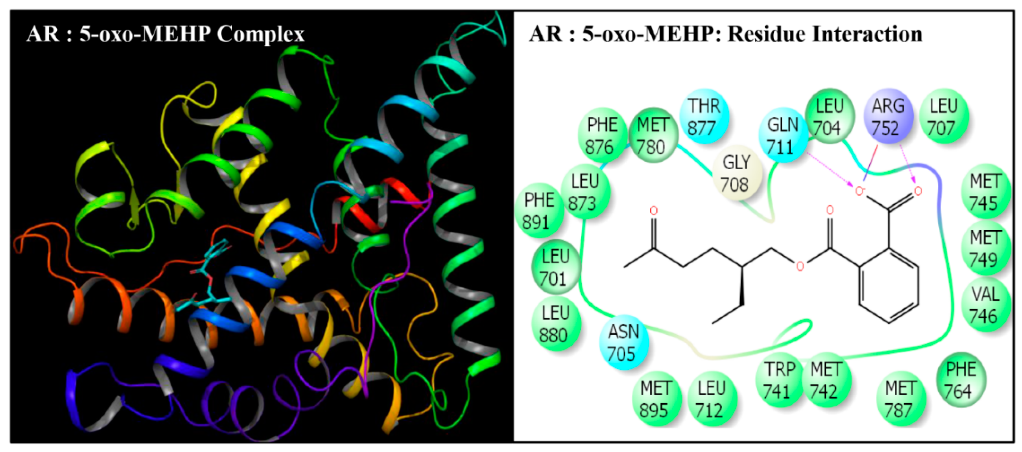 Toxics 08 00115 g005