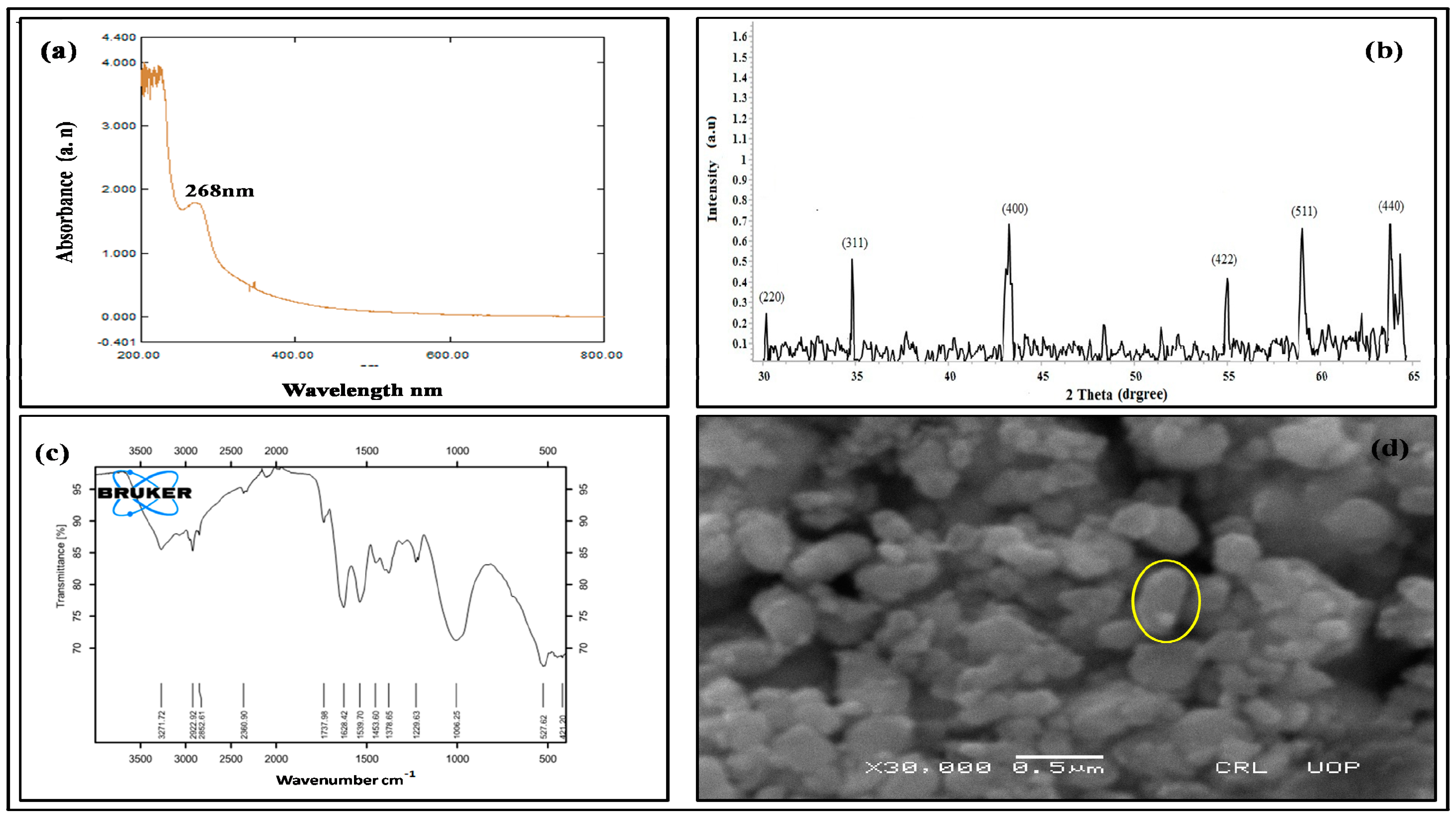 Toxics 09 00002 g001