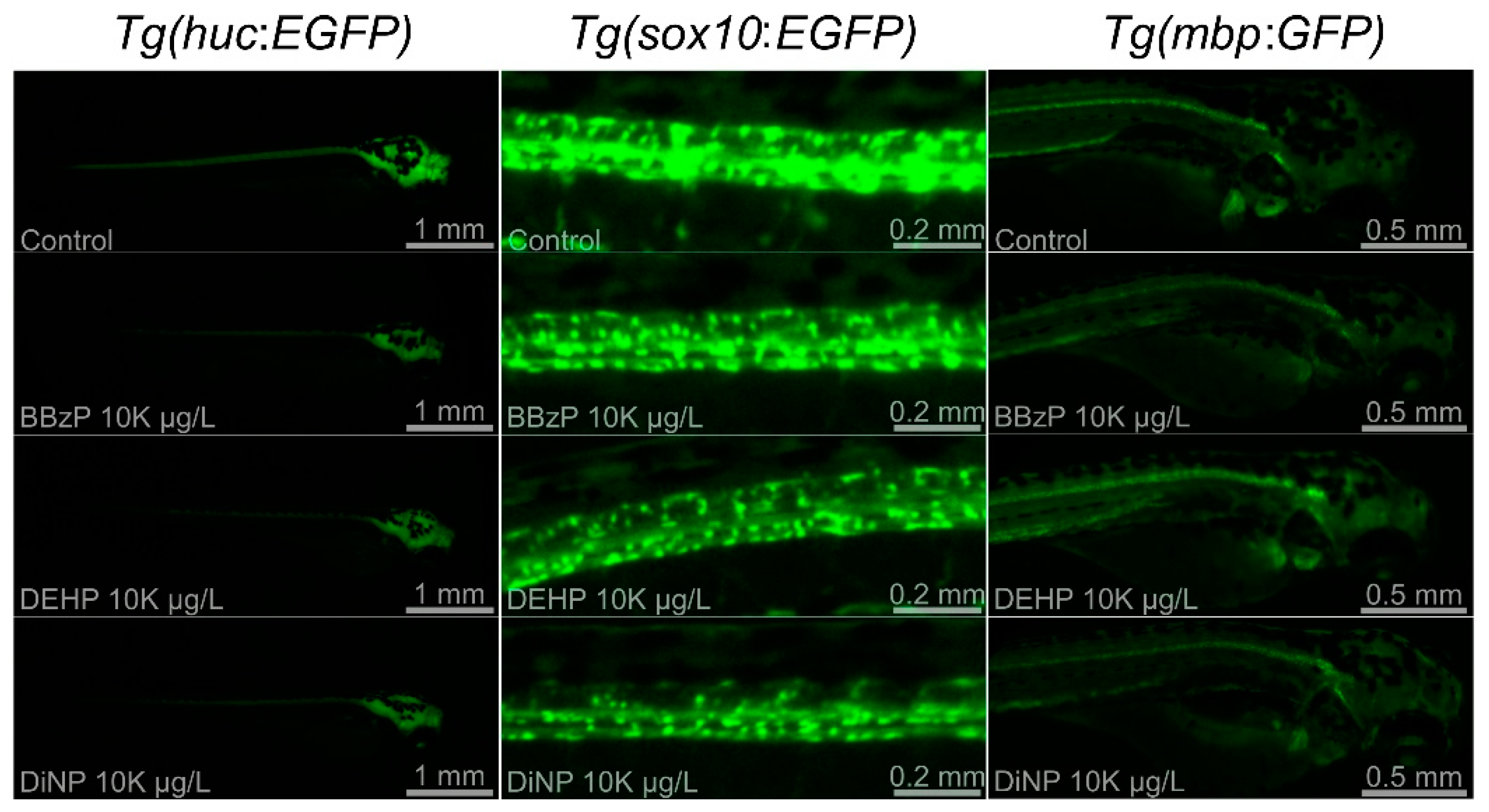 Toxics 09 00005 g003