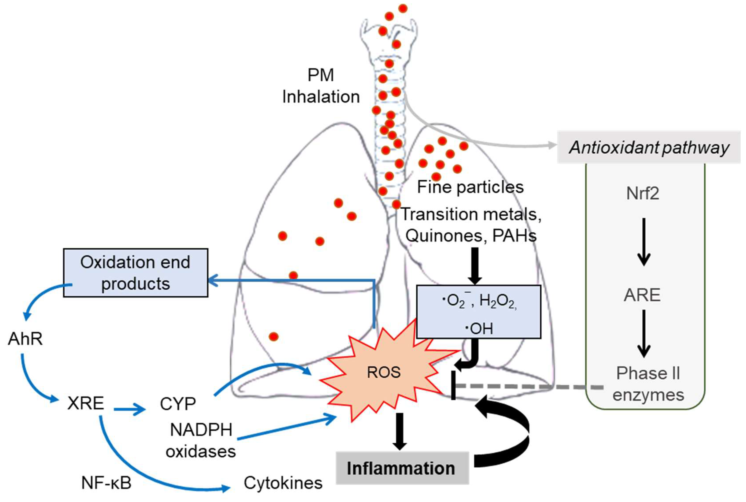 Toxics 09 00018 g003 Toxics 09 00018 g003