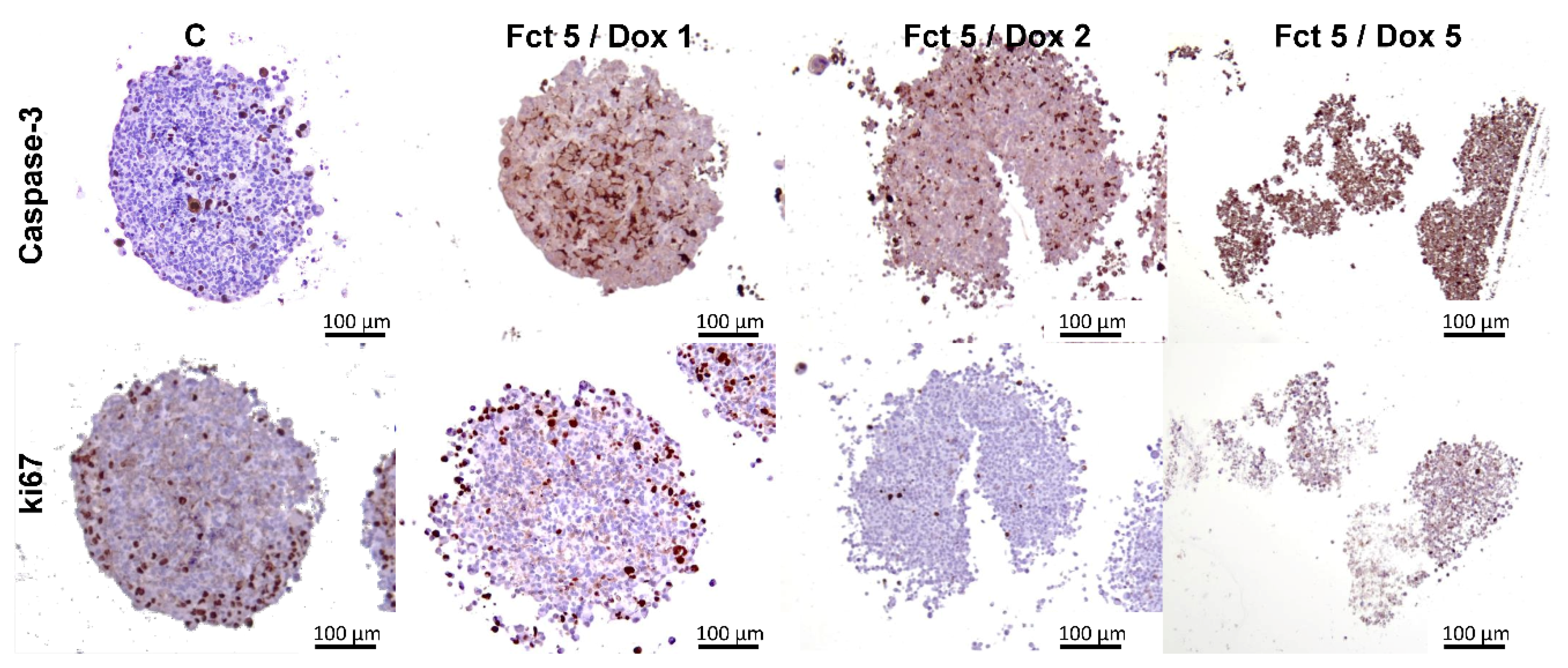 Toxics 09 00024 g013