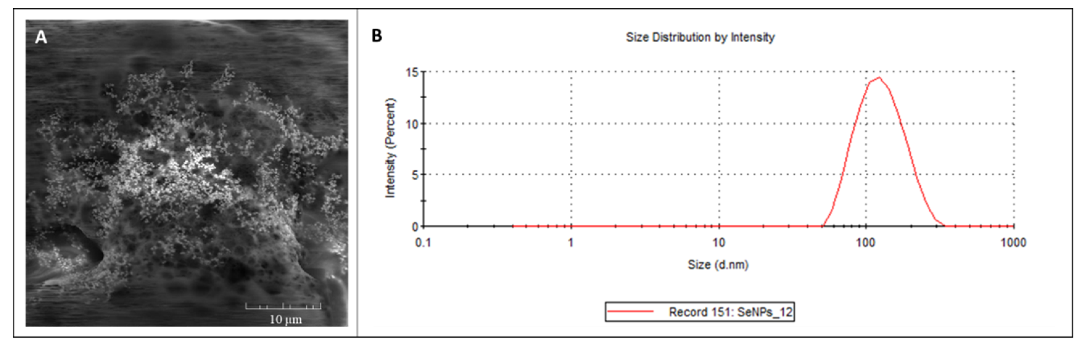 Toxics 09 00028 g001 Toxics 09 00028 g001