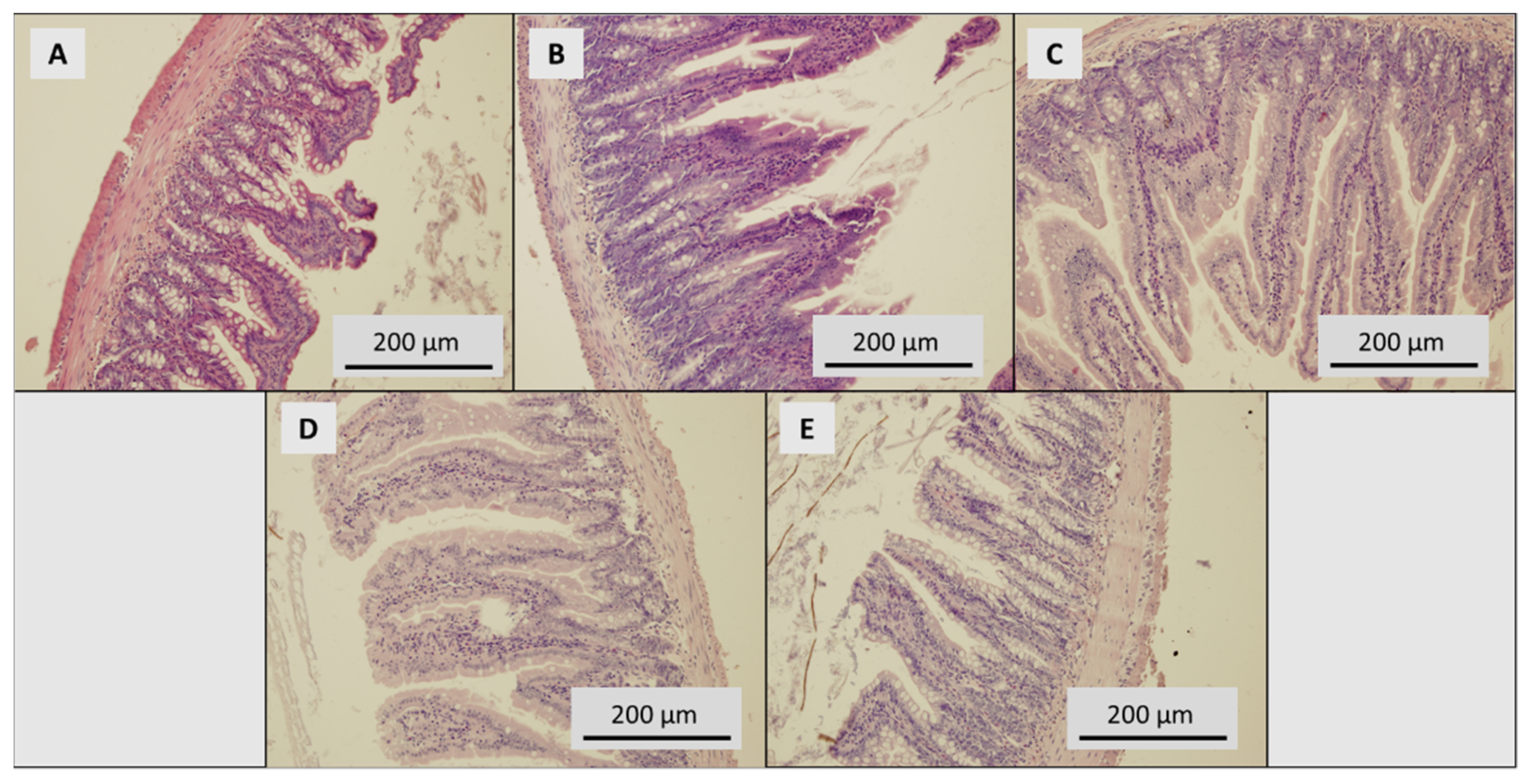 Toxics 09 00028 g006 Toxics 09 00028 g006