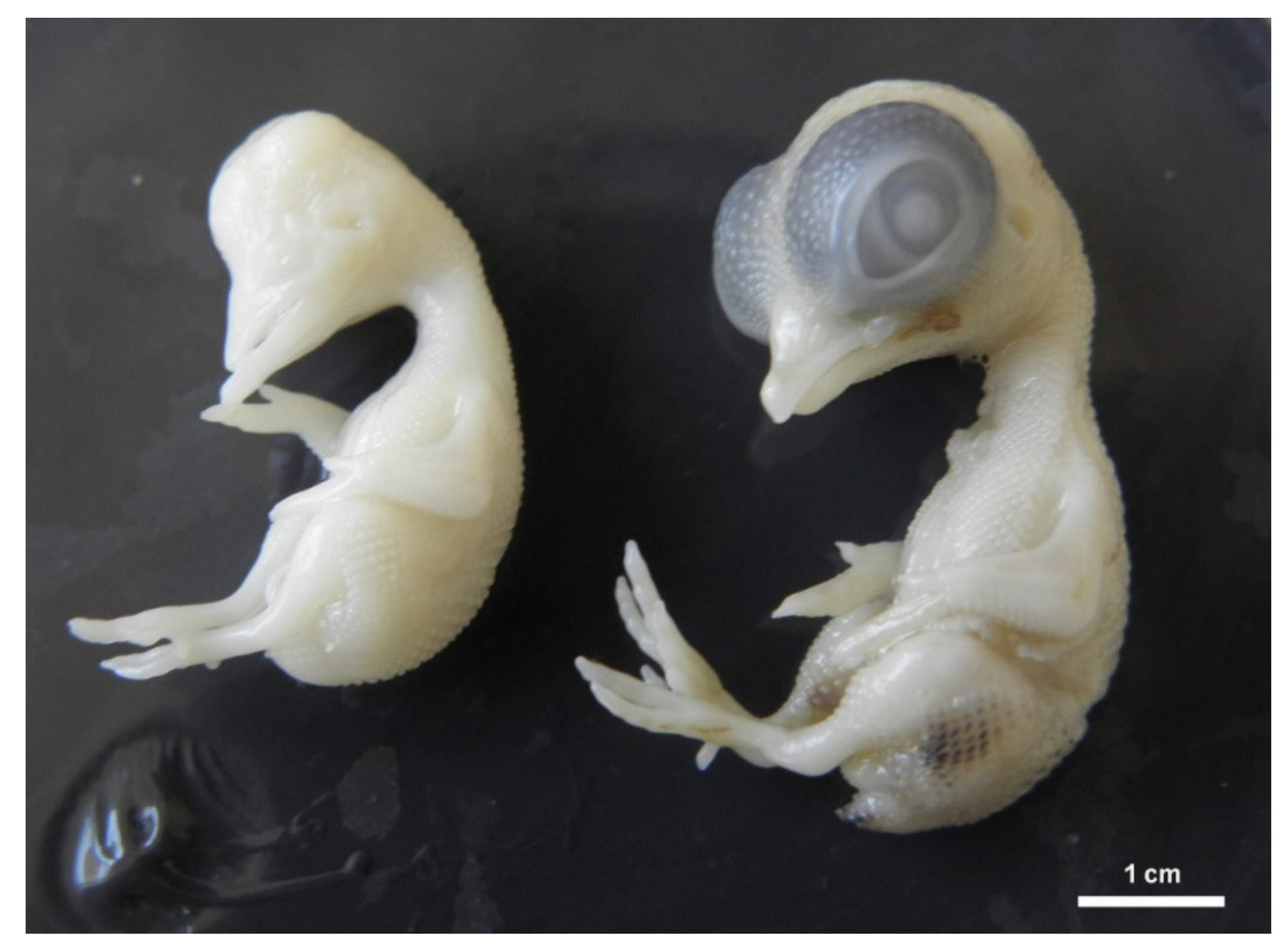 Toxics 09 00055 g003