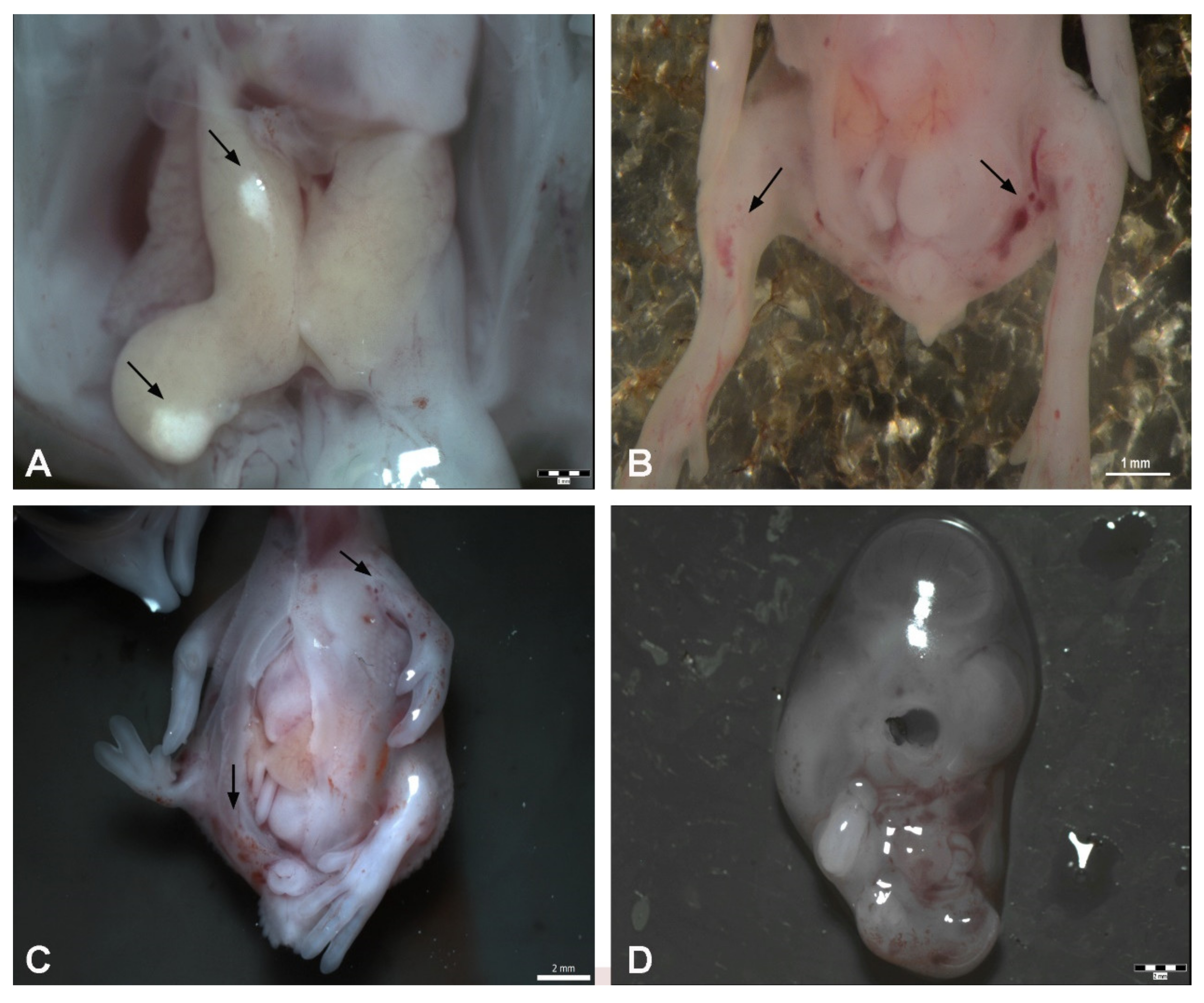 Toxics 09 00055 g004