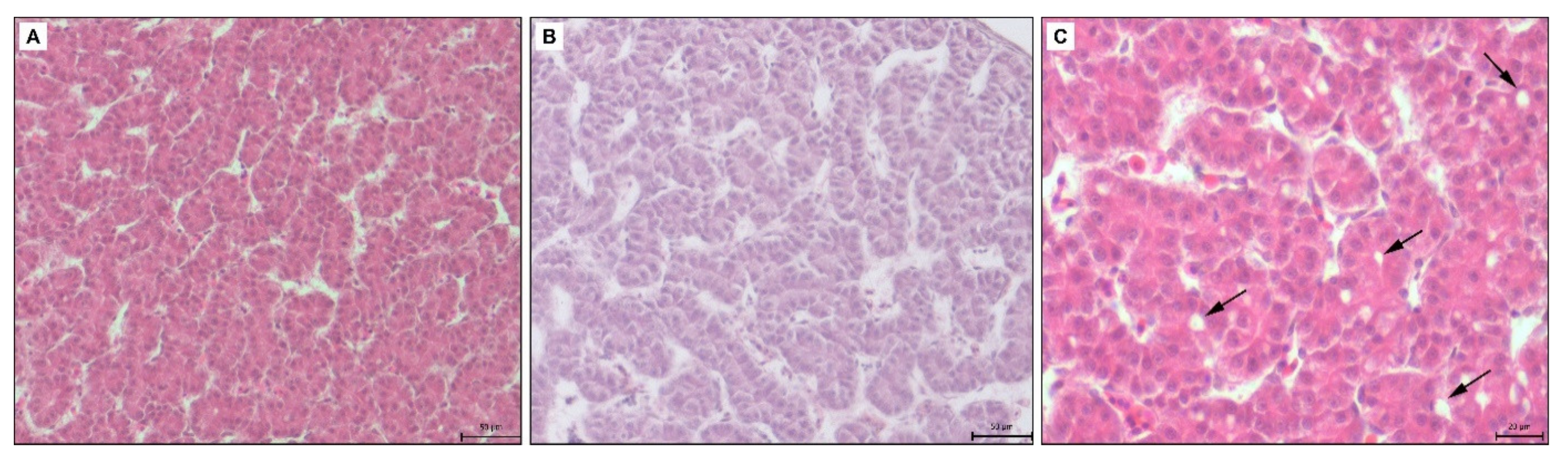 Toxics 09 00055 g005