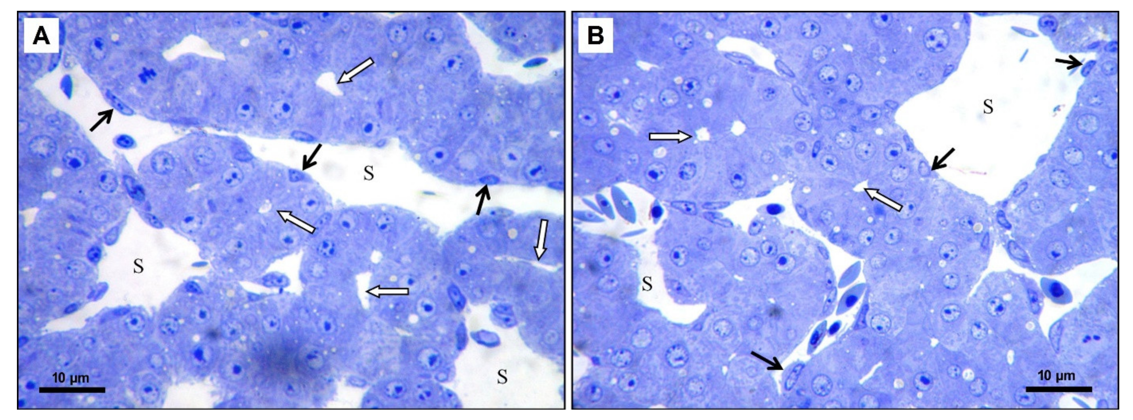 Toxics 09 00055 g006