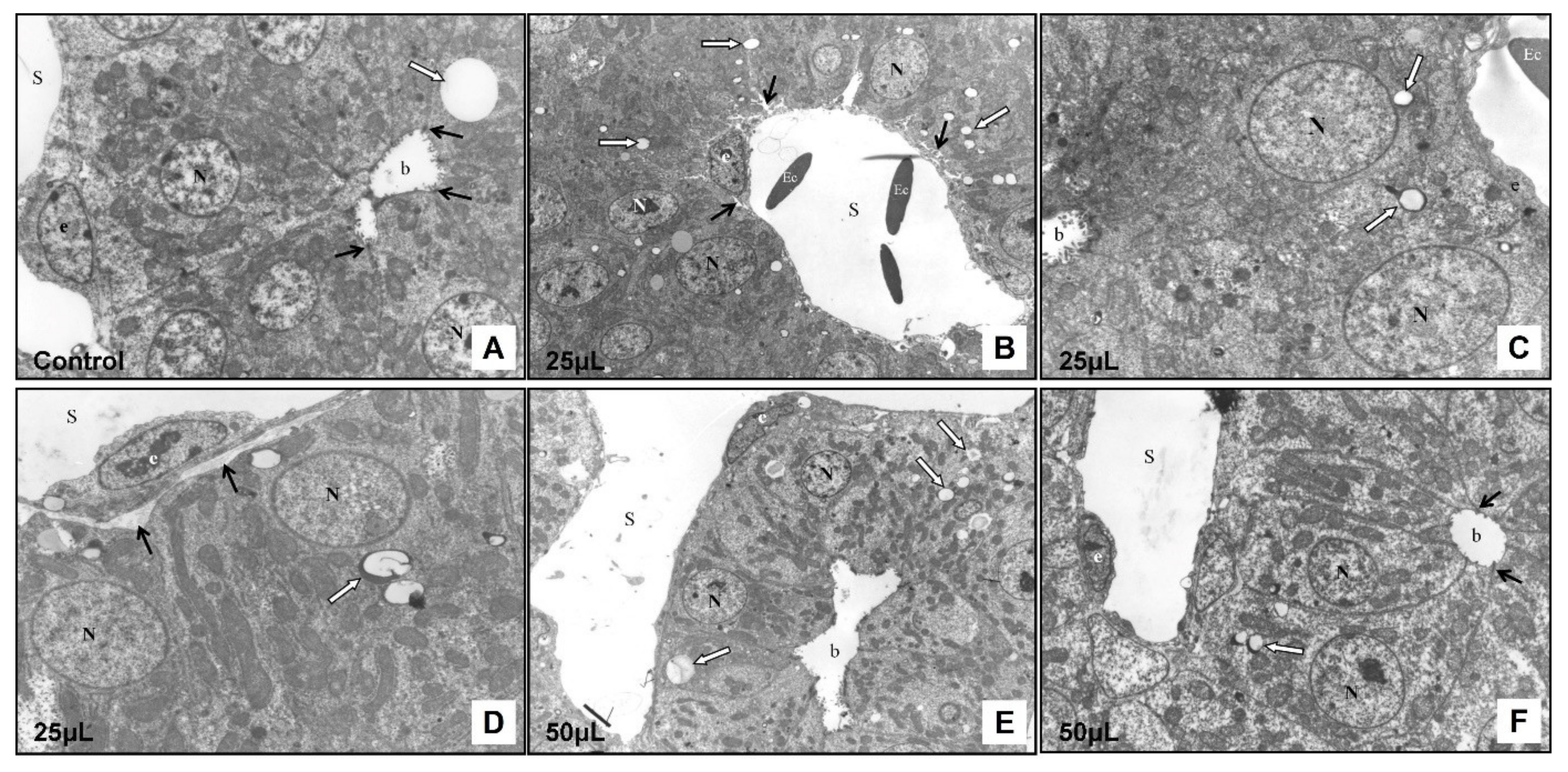 Toxics 09 00055 g007